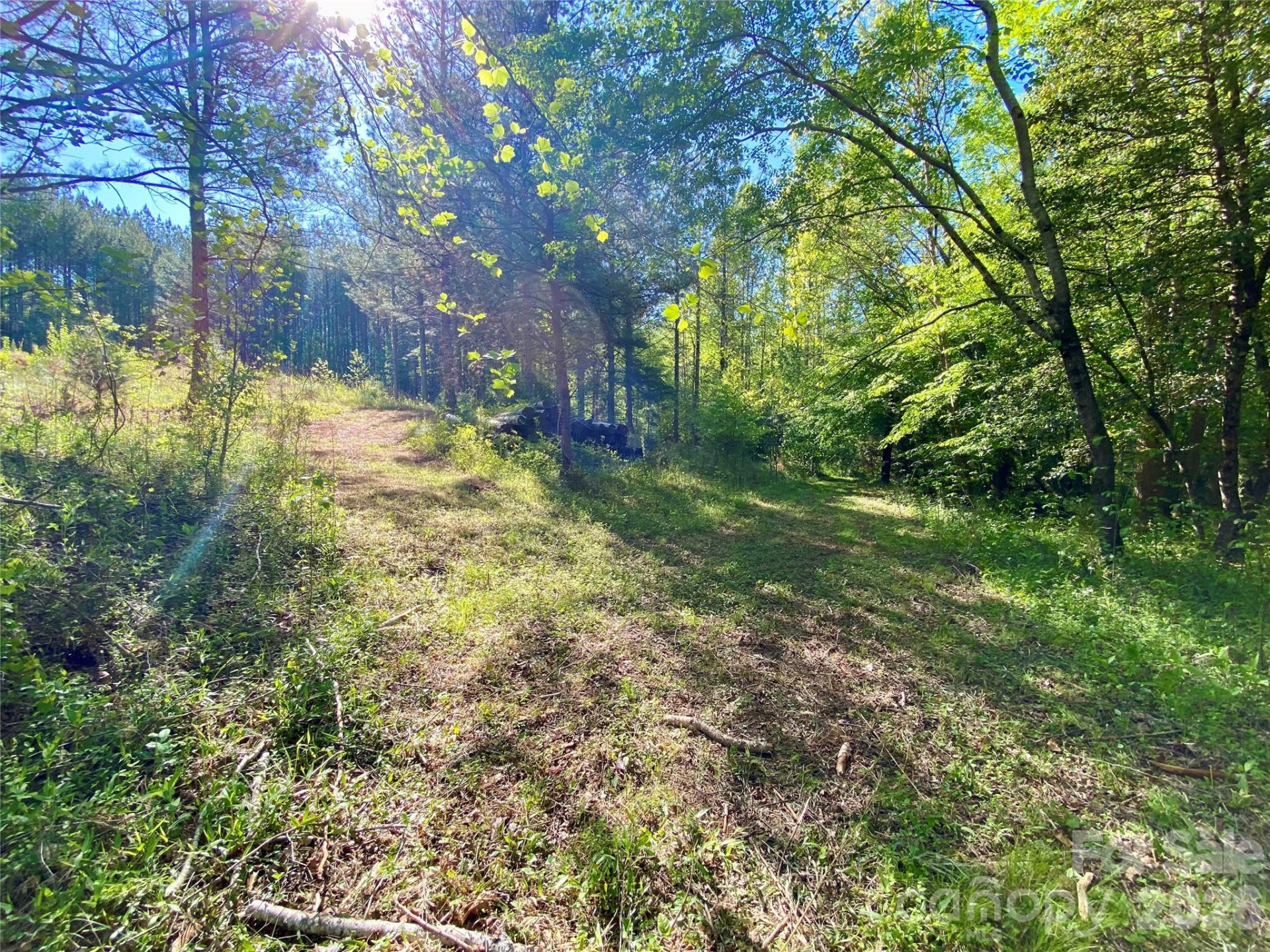 0 Walking Horse Trail - Photo 19