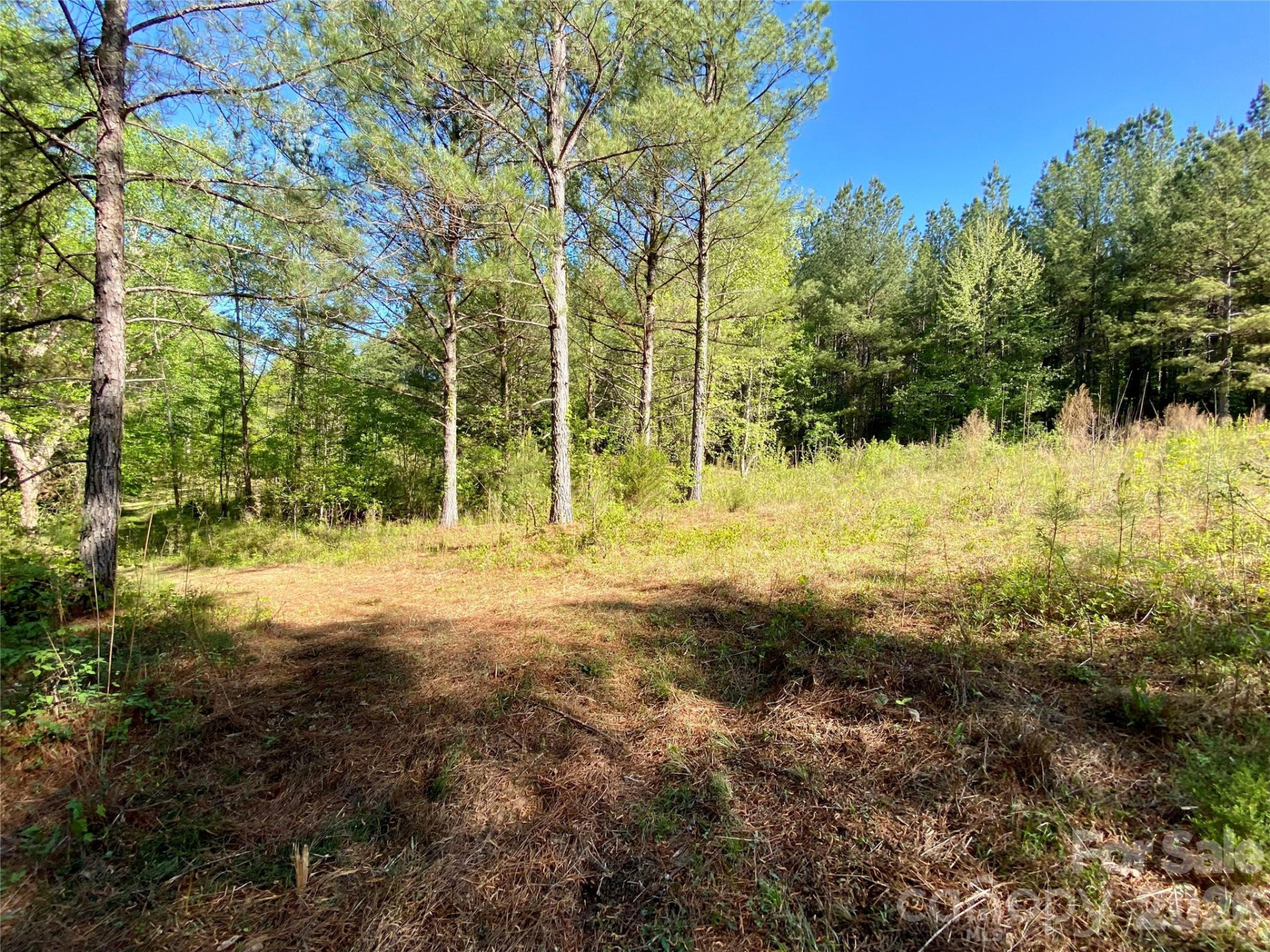 0 Walking Horse Trail - Photo 21