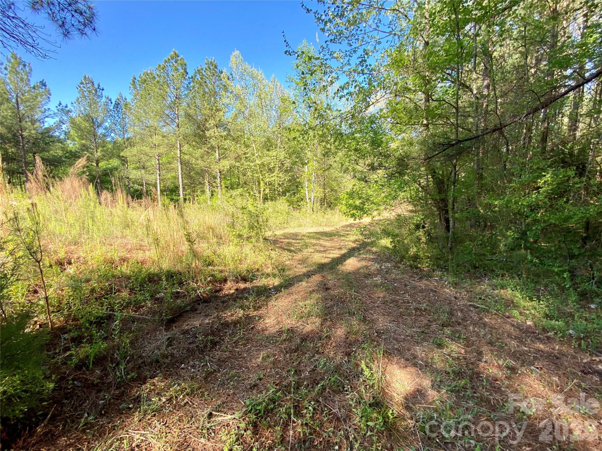0 Walking Horse Trail - Photo 22