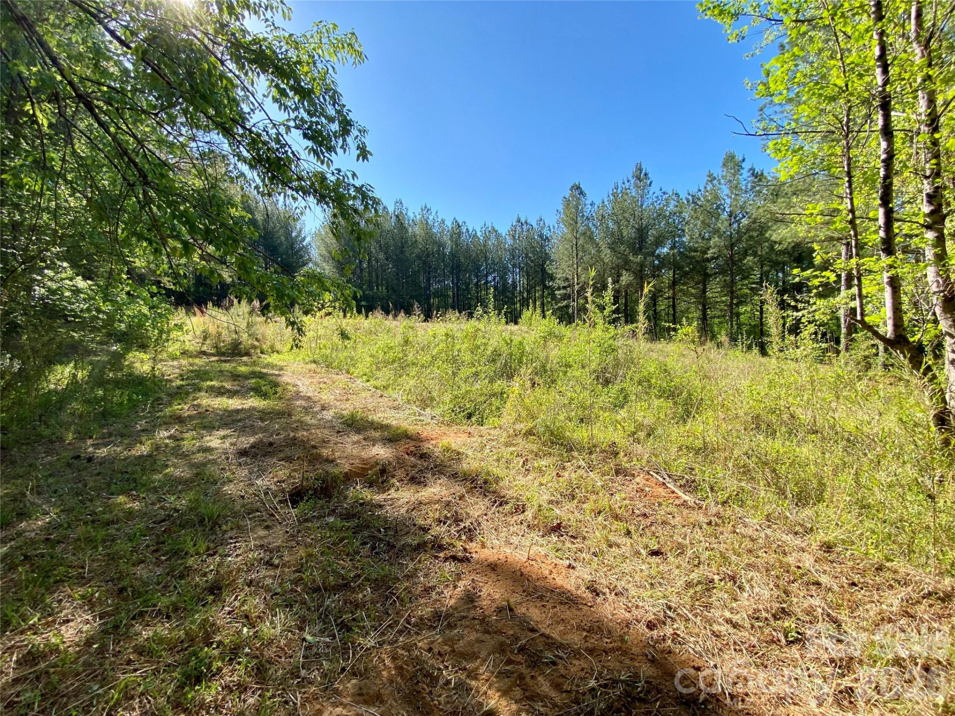 0 Walking Horse Trail - Photo 23