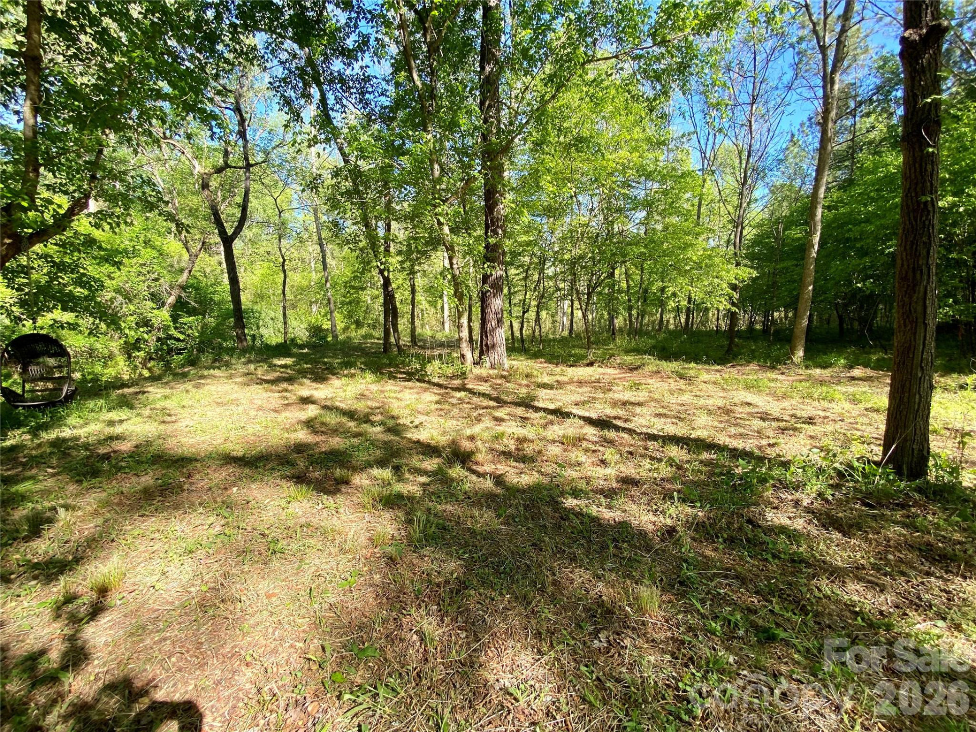 0 Walking Horse Trail - Photo 25