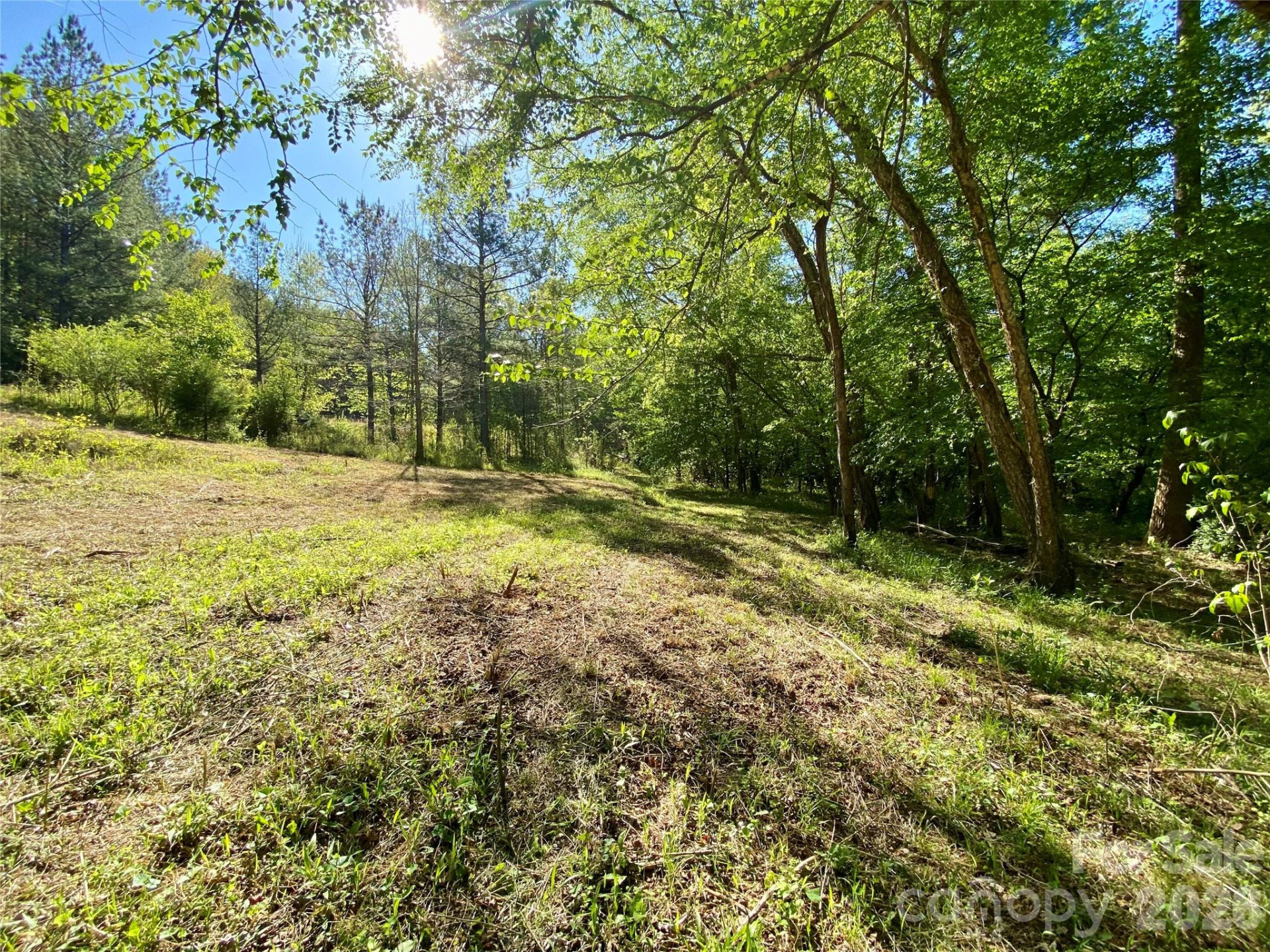 0 Walking Horse Trail - Photo 26