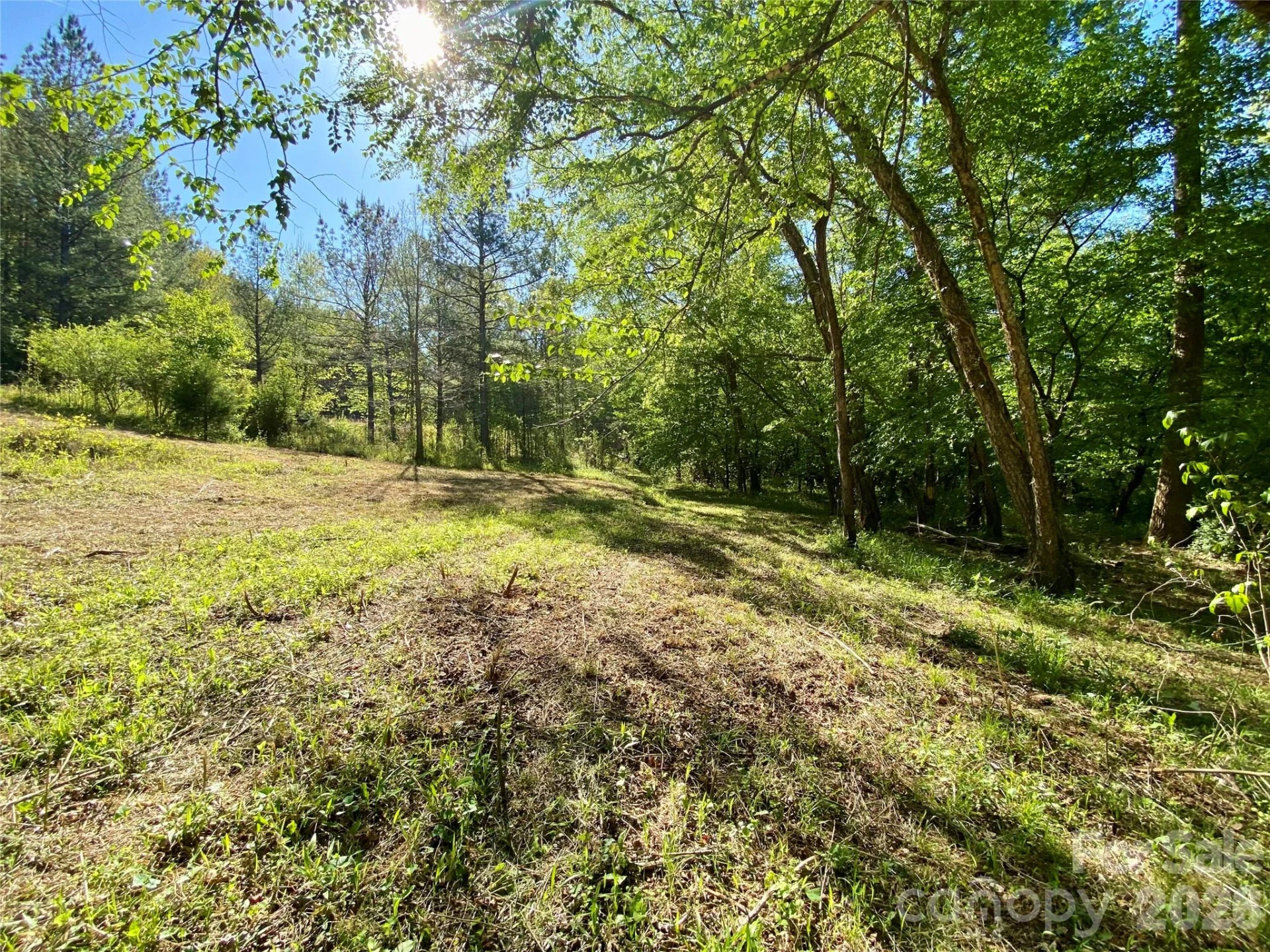 0 Walking Horse Trail - Photo 26