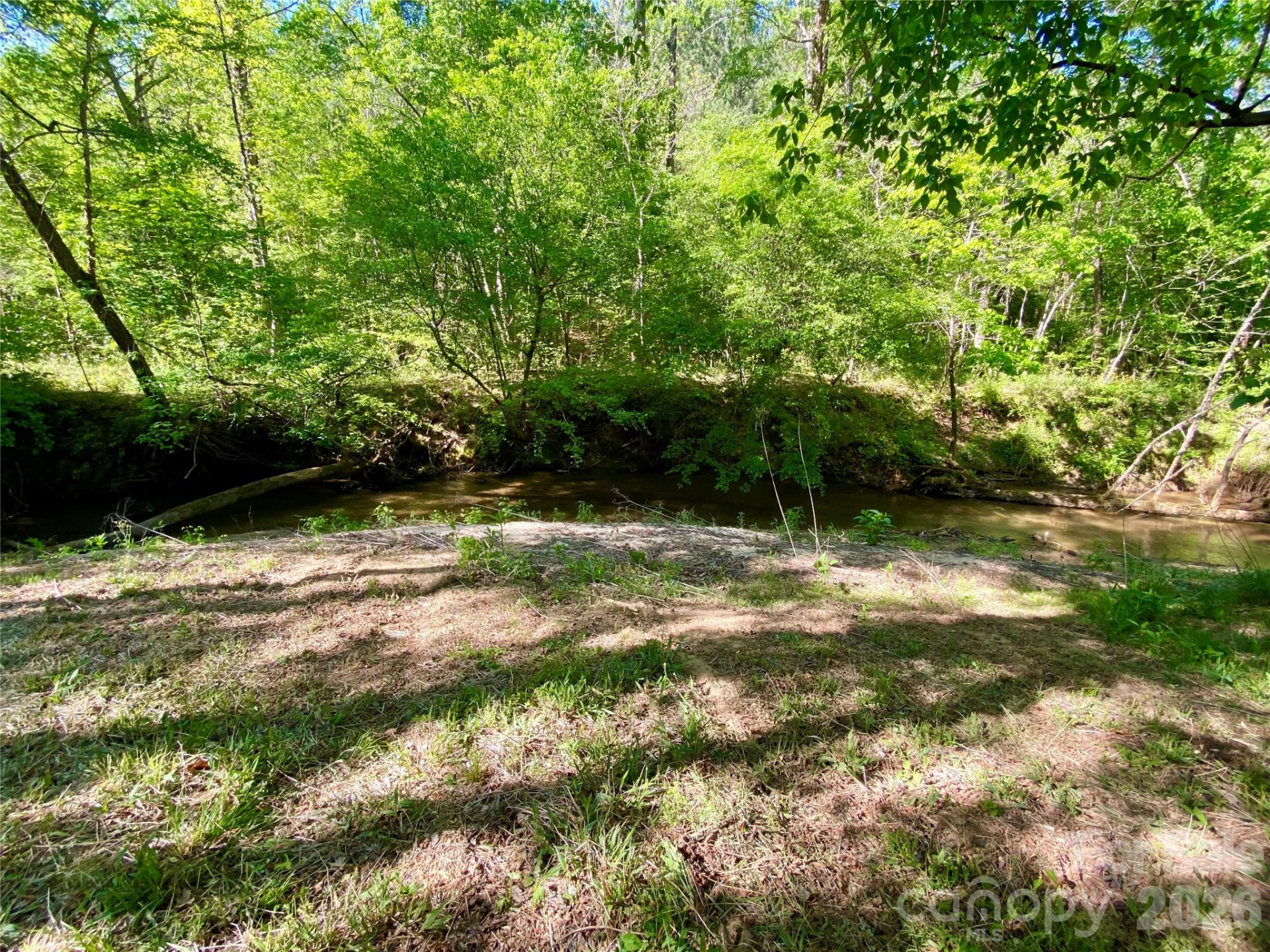 0 Walking Horse Trail - Photo 28