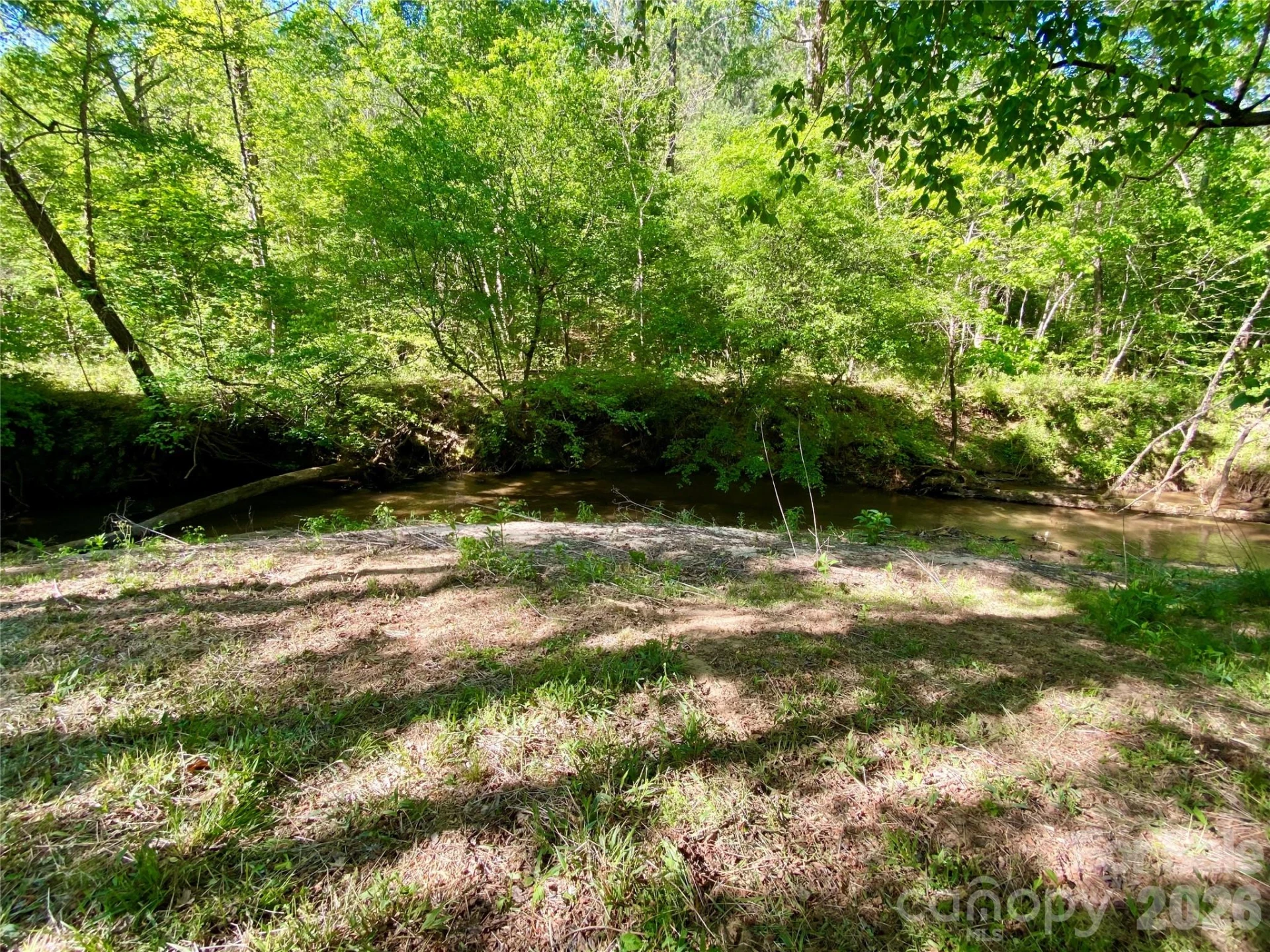 0 Walking Horse Trail - Photo 28