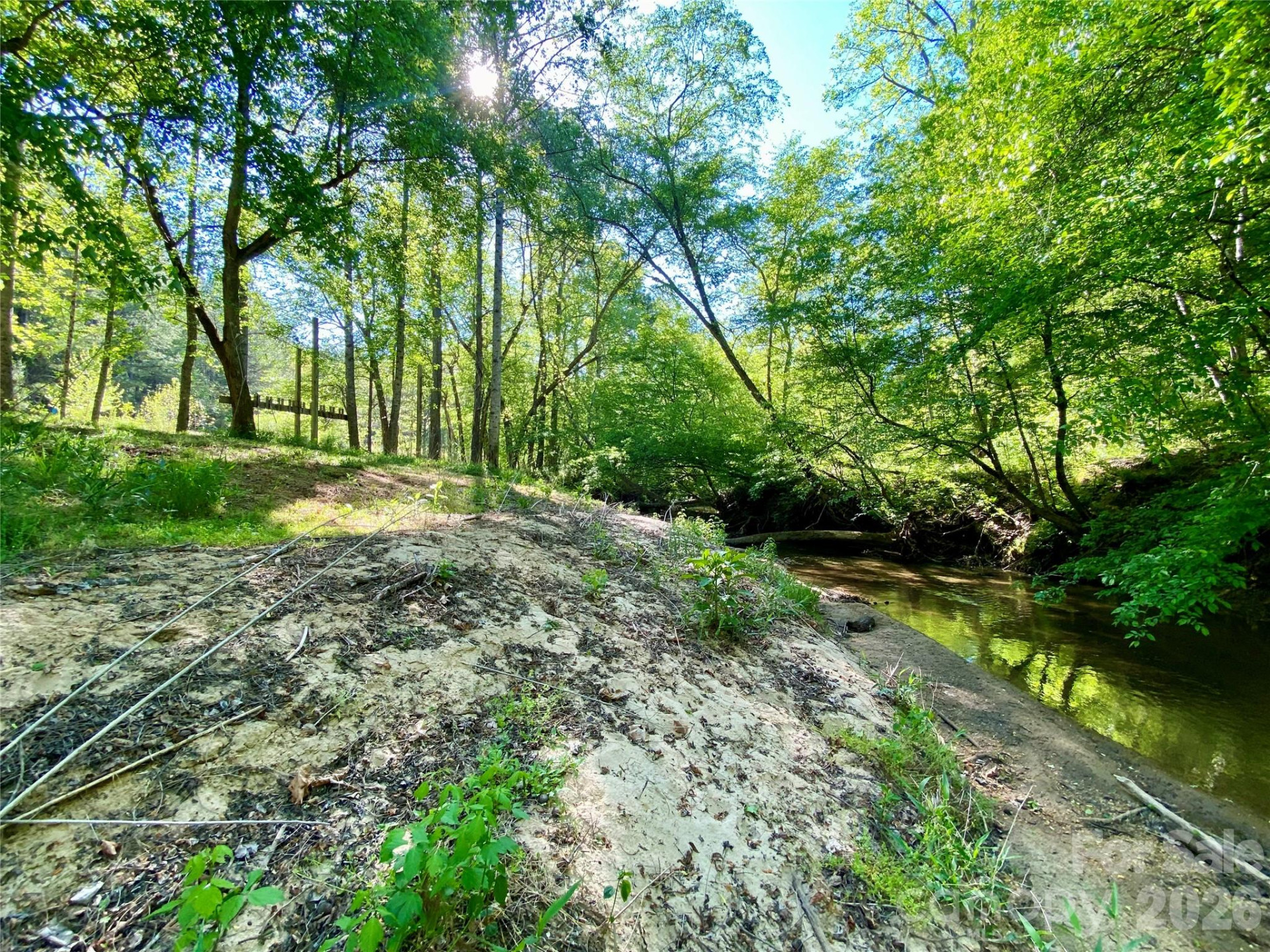 0 Walking Horse Trail - Photo 29