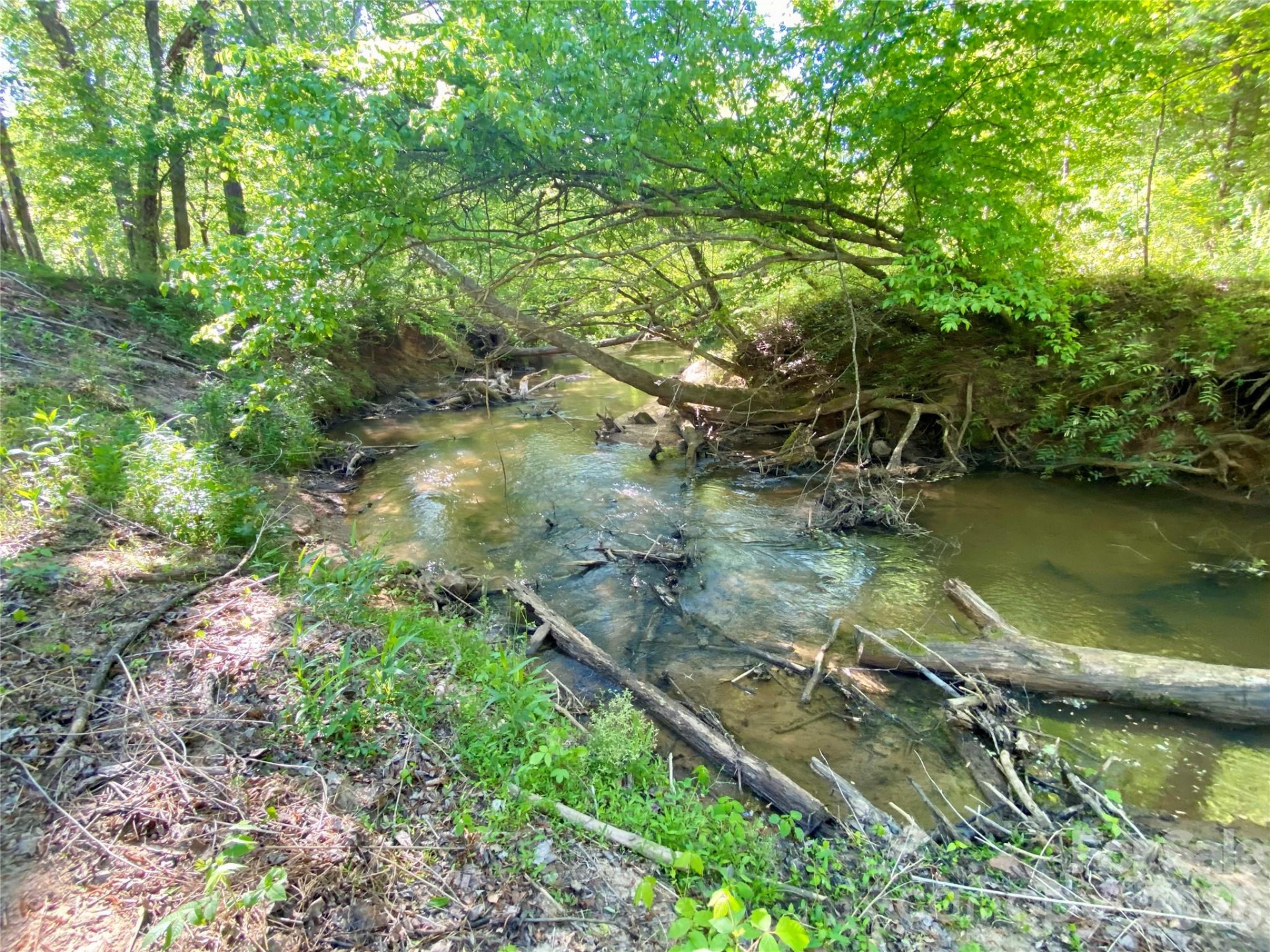 0 Walking Horse Trail - Photo 30