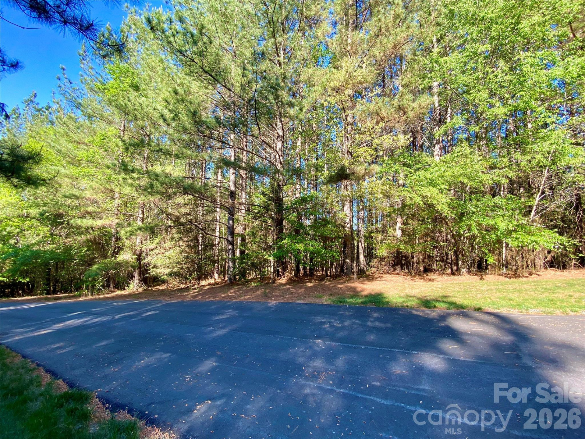 0 Walking Horse Trail - Photo 4