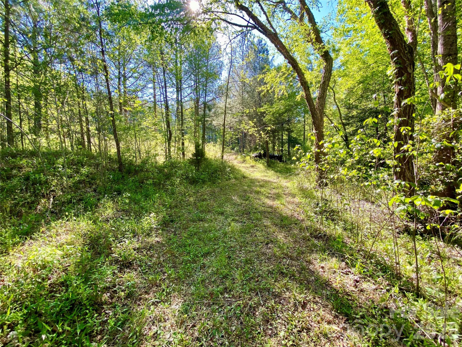 0 Walking Horse Trail - Photo 31