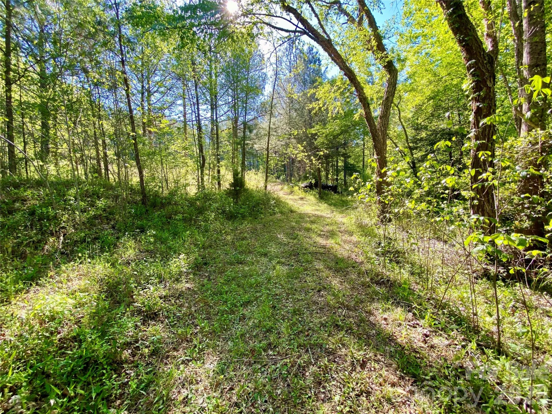 0 Walking Horse Trail - Photo 31