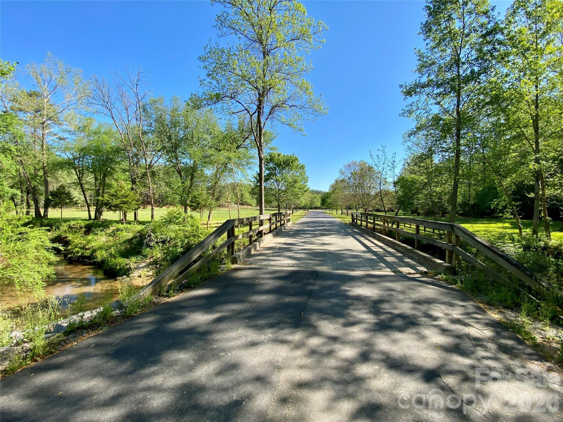 0 Walking Horse Trail - Photo 32