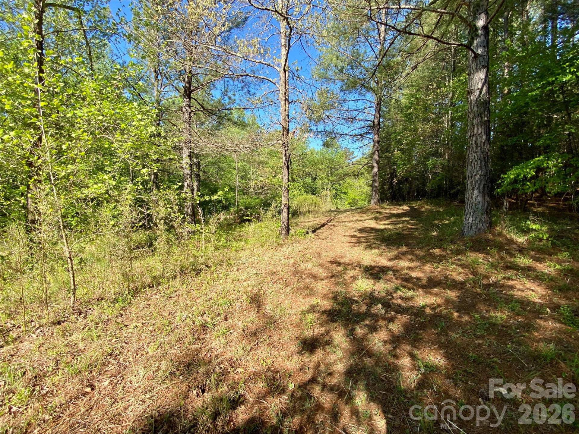 0 Walking Horse Trail - Photo 33