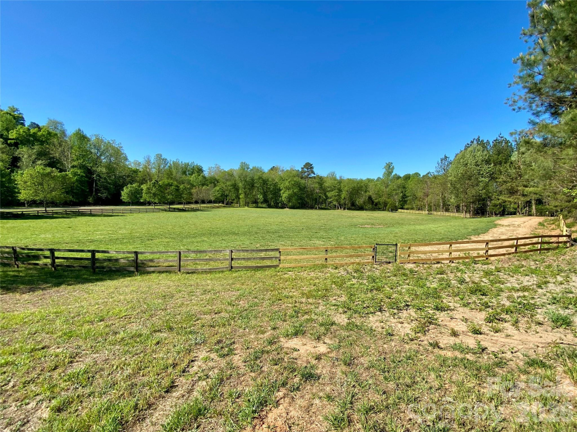 0 Walking Horse Trail - Photo 37