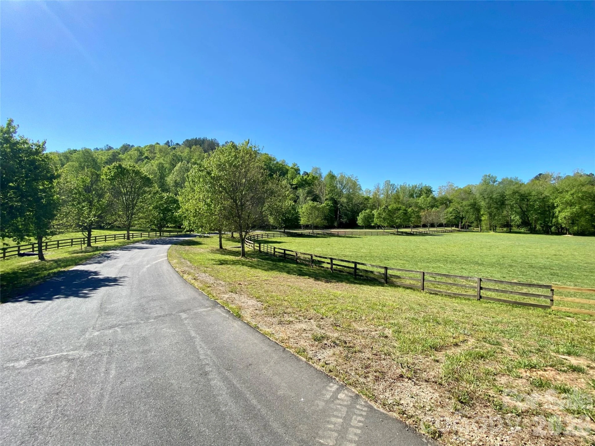 0 Walking Horse Trail - Photo 38
