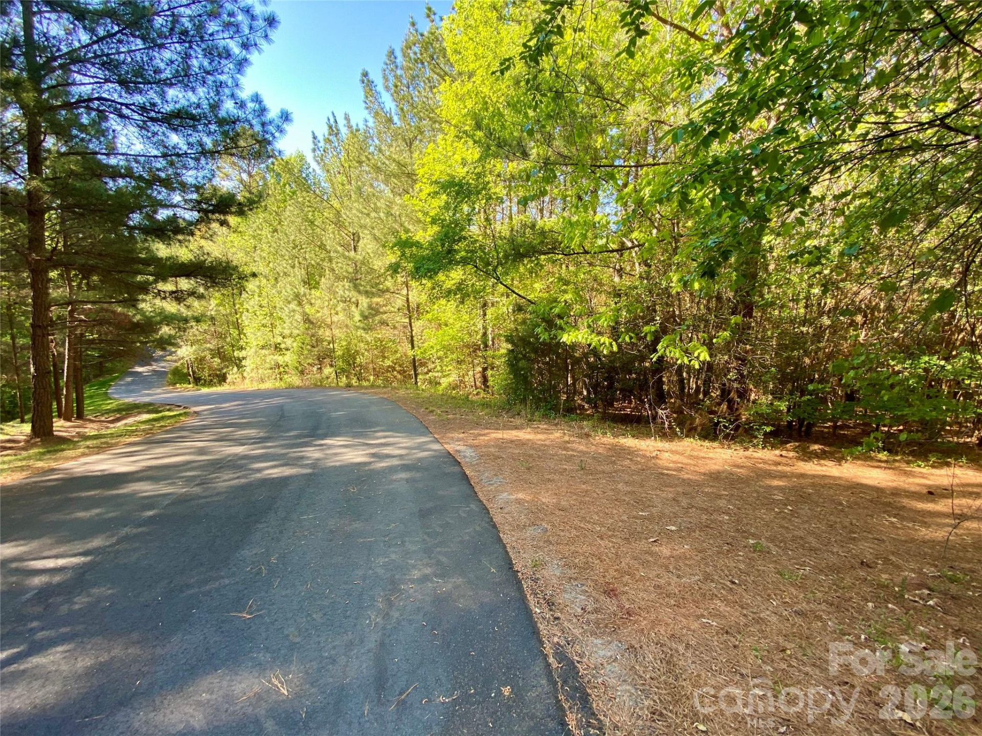 0 Walking Horse Trail - Photo 5