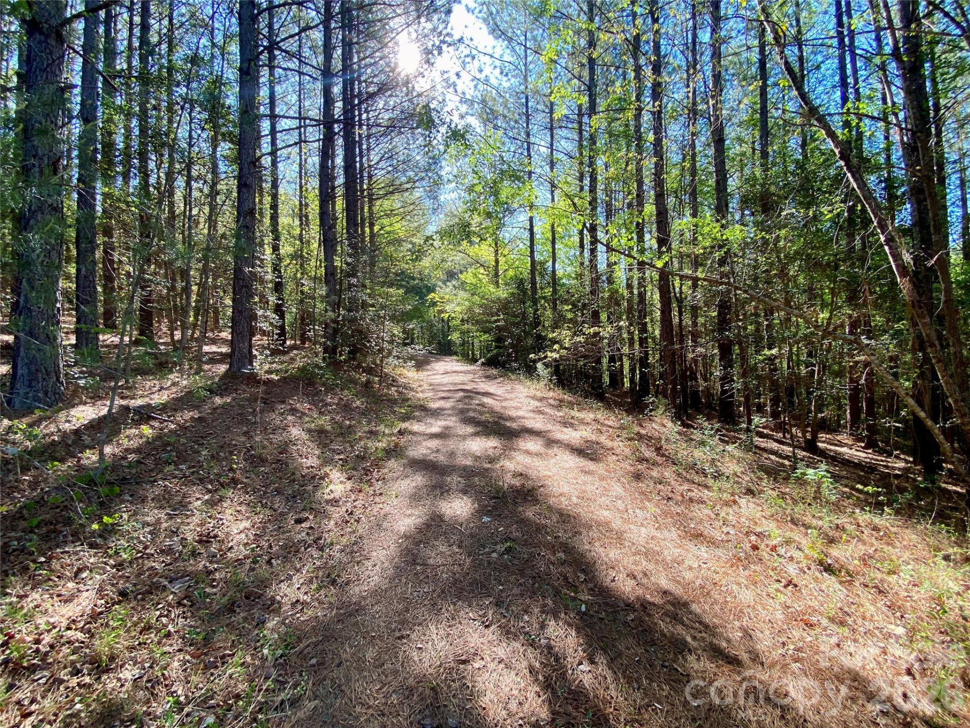 0 Walking Horse Trail - Photo 6