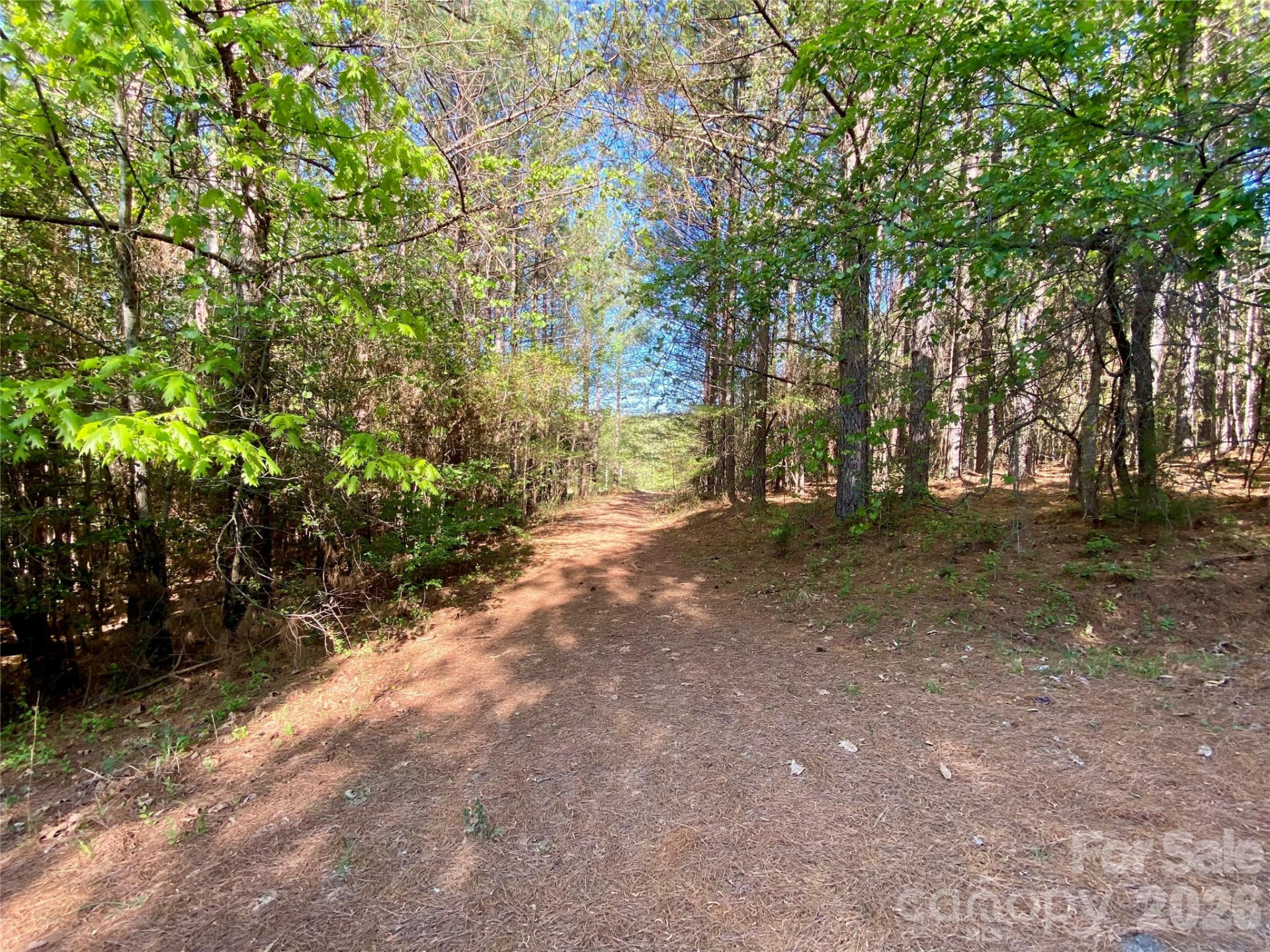 0 Walking Horse Trail - Photo 7