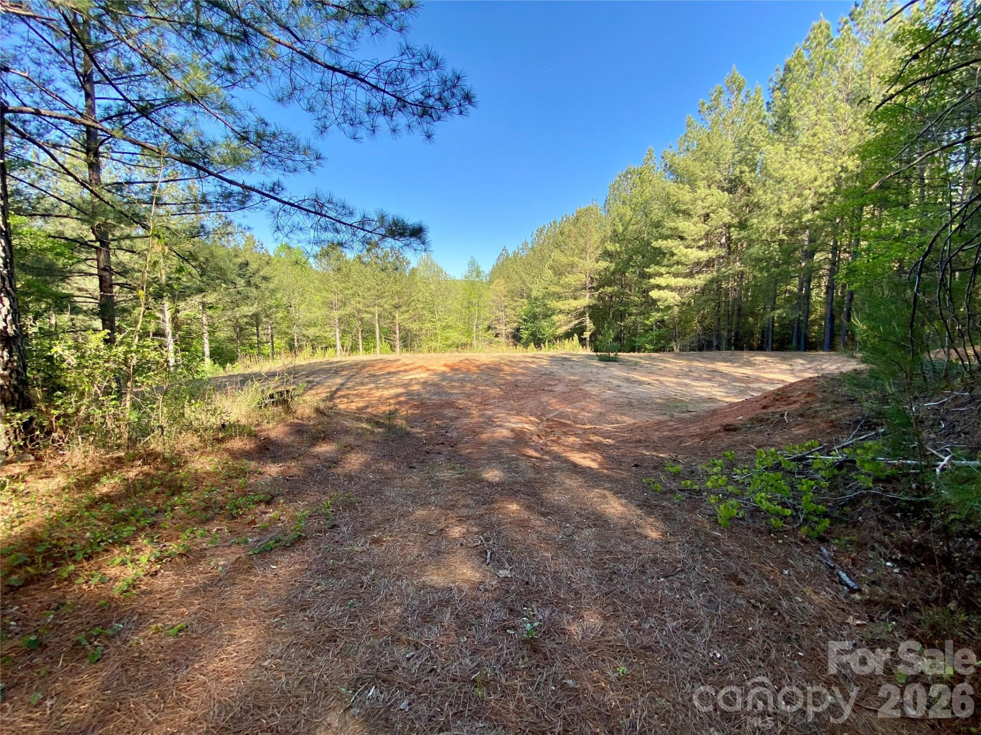 0 Walking Horse Trail - Photo 8