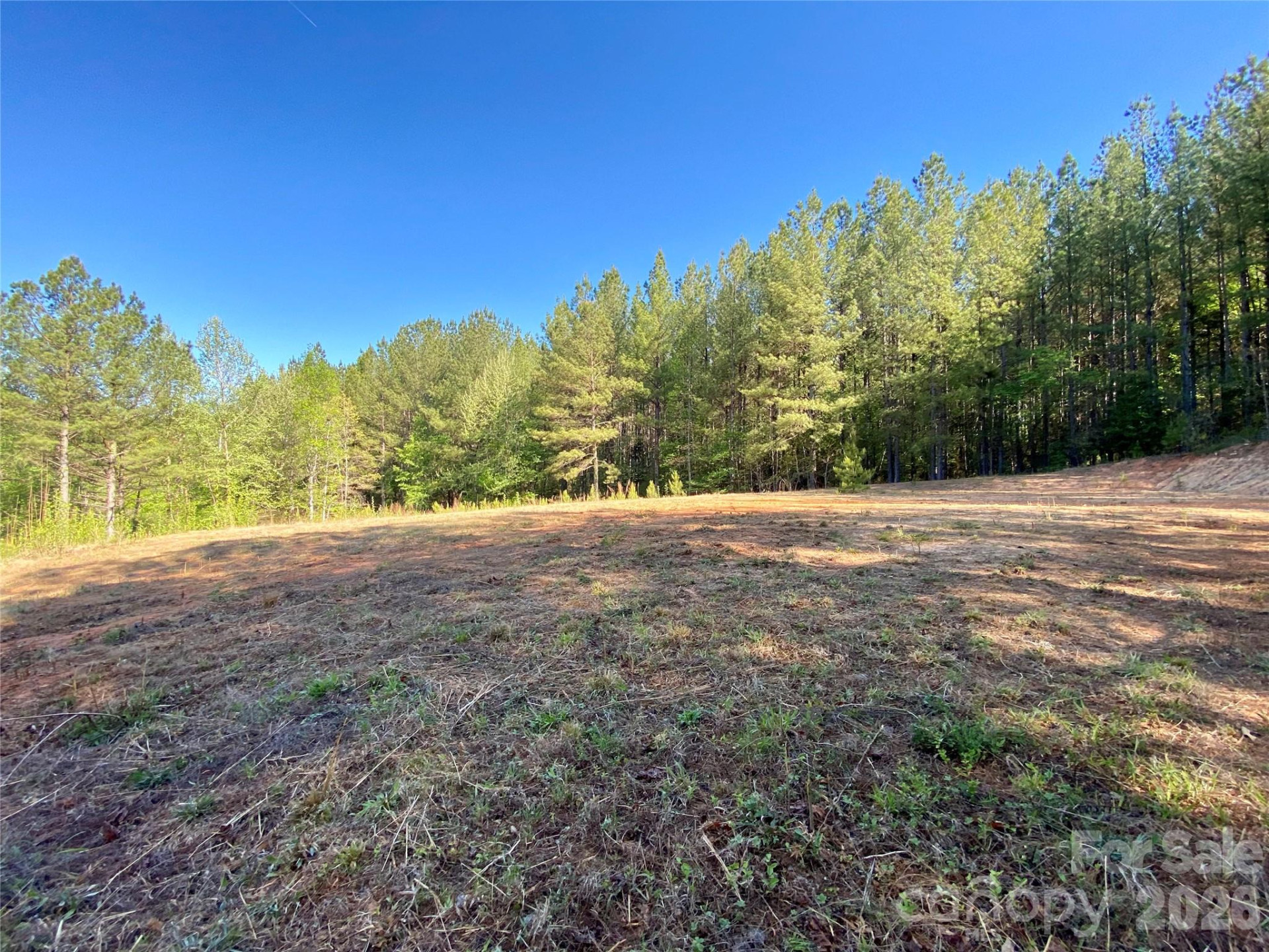 0 Walking Horse Trail - Photo 9