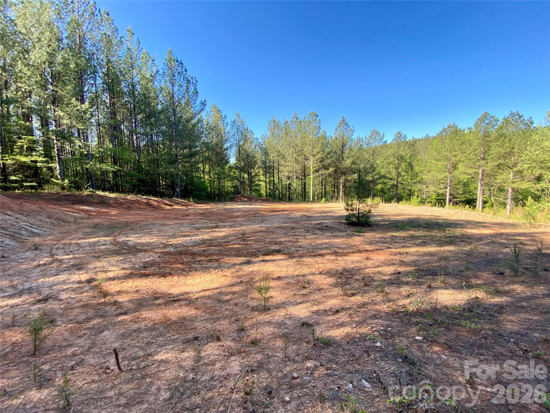 0 Walking Horse Trail - Photo 10