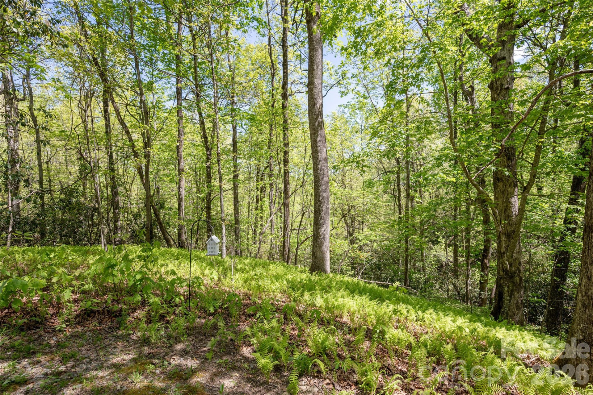 139 Panther Gap Road - Photo 23