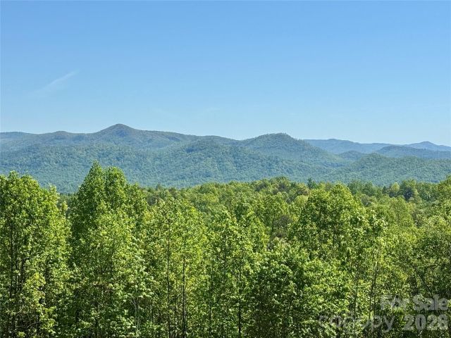 0 Doe Hallow Trail, Nebo, NC, 28761