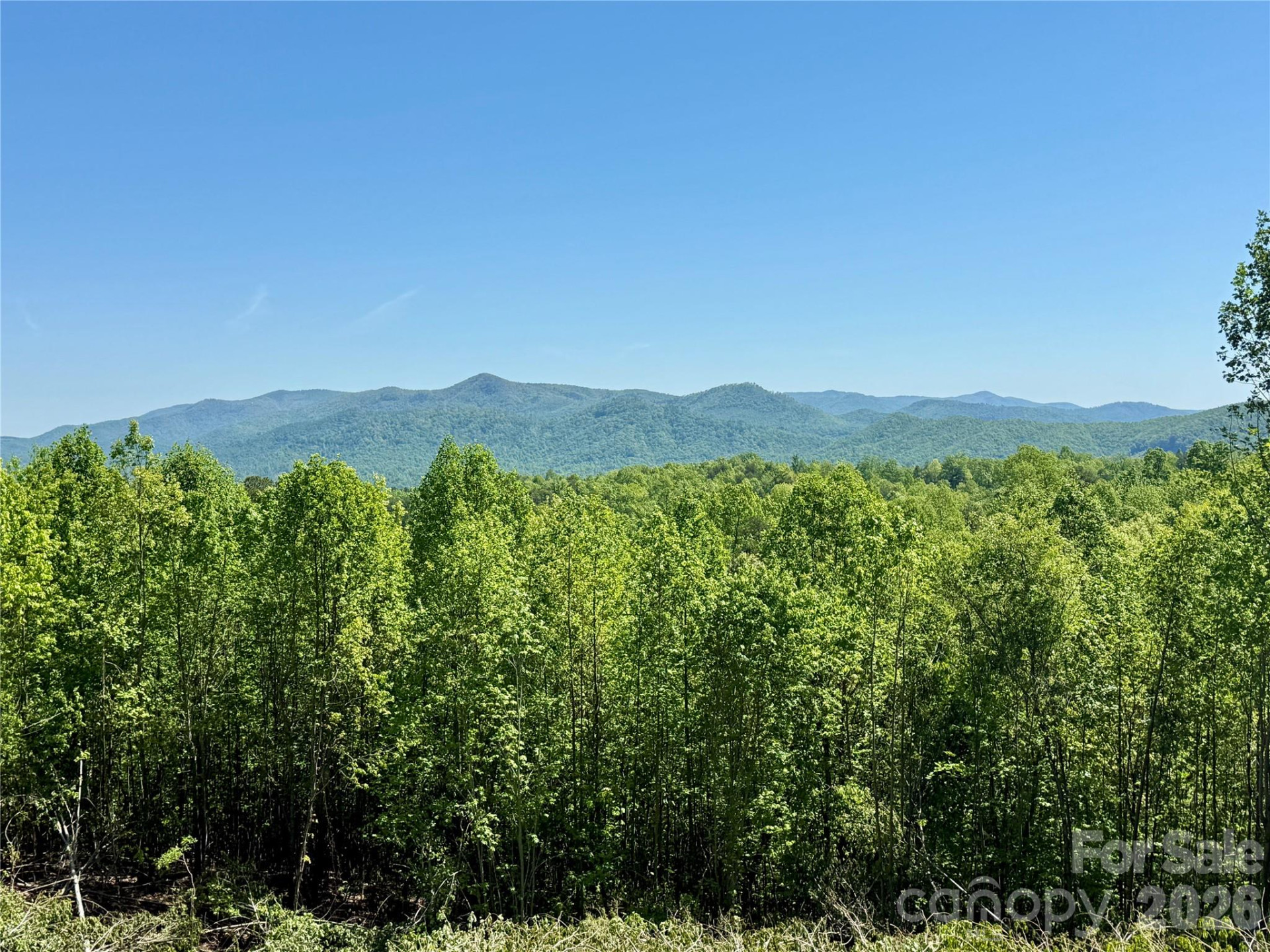 0 Doe Hallow Trail #218 - Photo 11