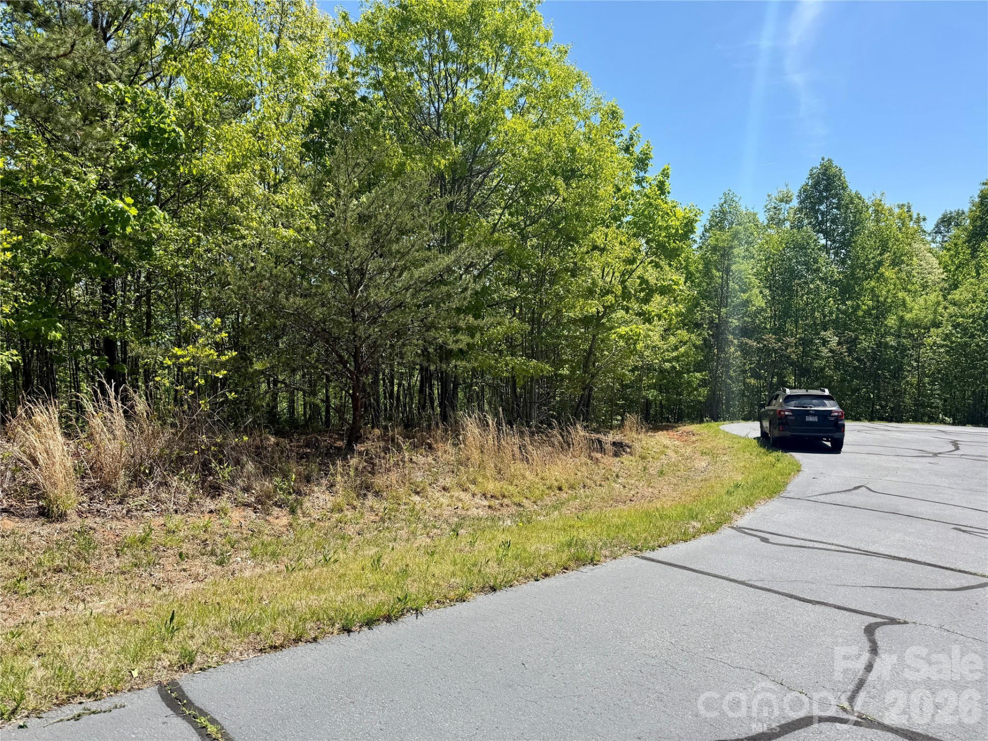 0 Doe Hallow Trail #218 - Photo 12