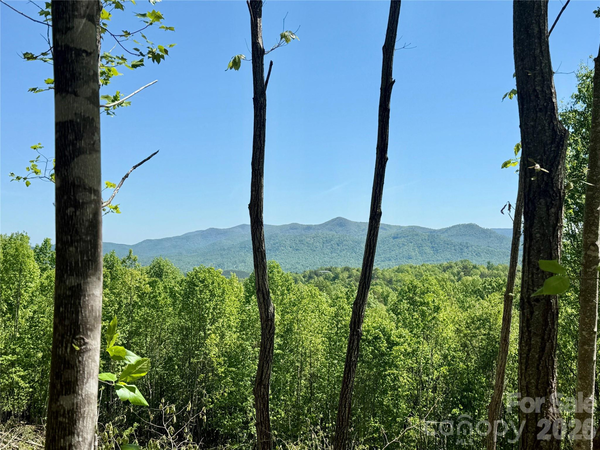 0 Doe Hallow Trail #218 - Photo 14