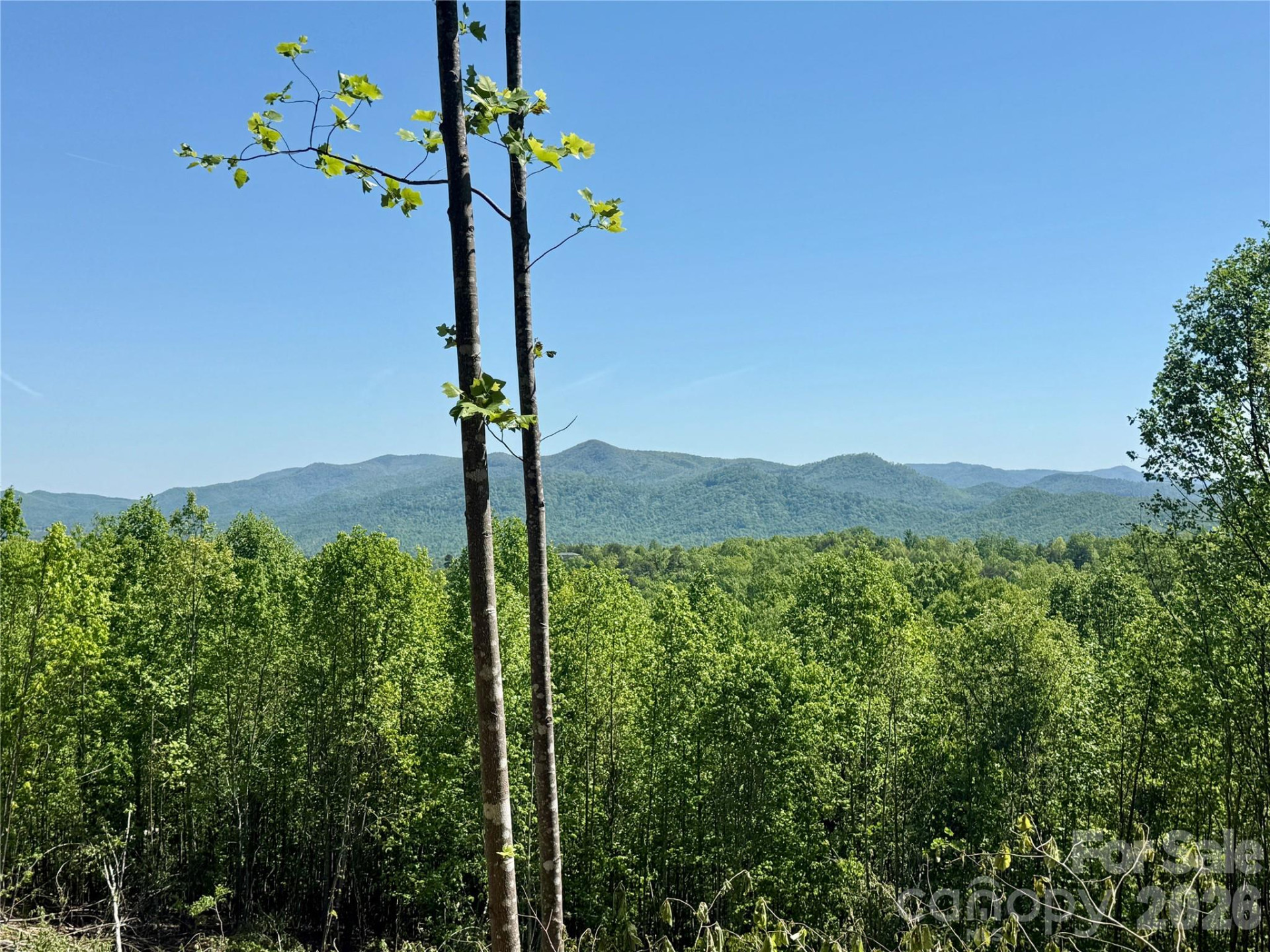 0 Doe Hallow Trail #218 - Photo 15