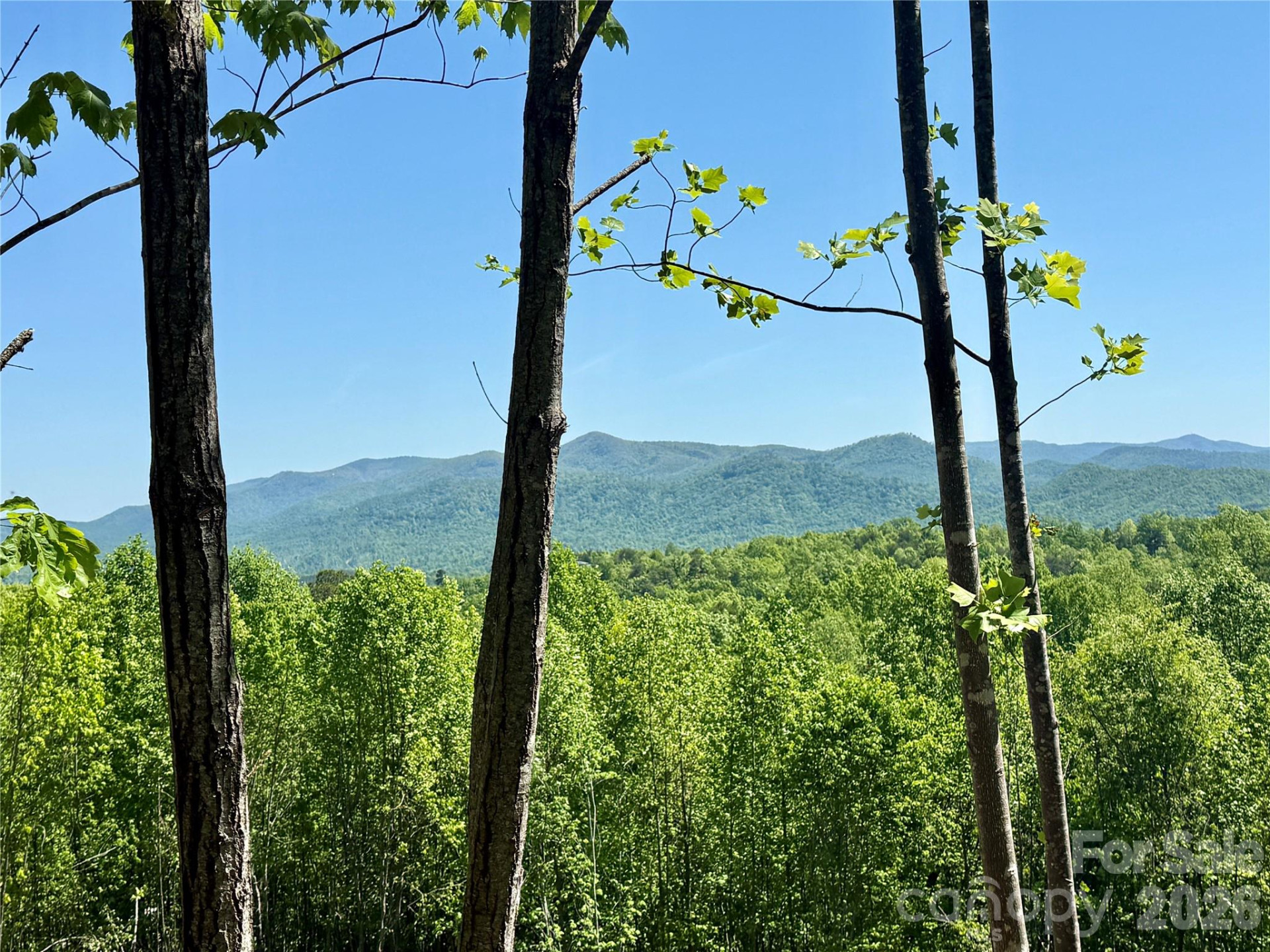 0 Doe Hallow Trail #218 - Photo 16