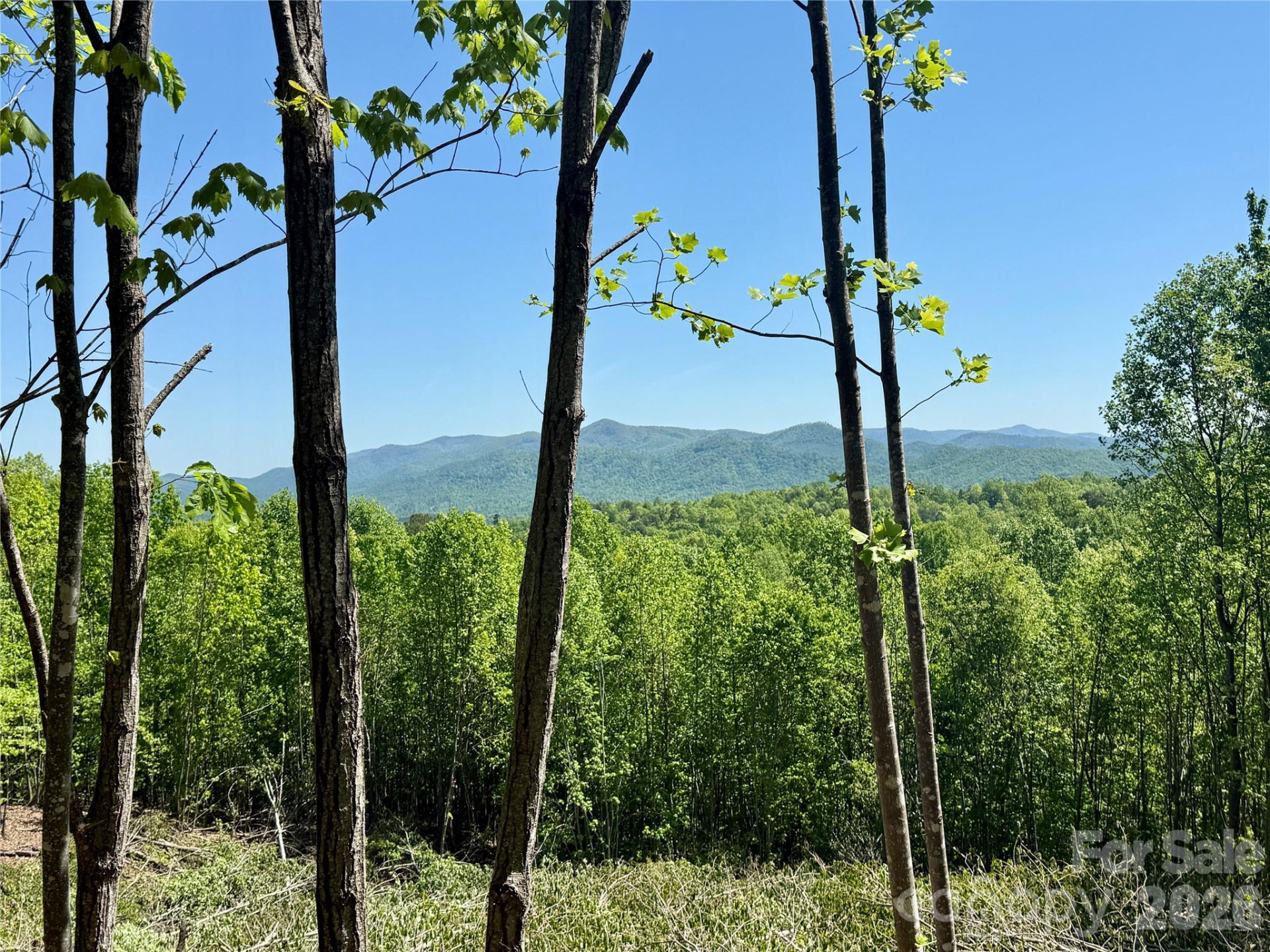 0 Doe Hallow Trail #218 - Photo 17