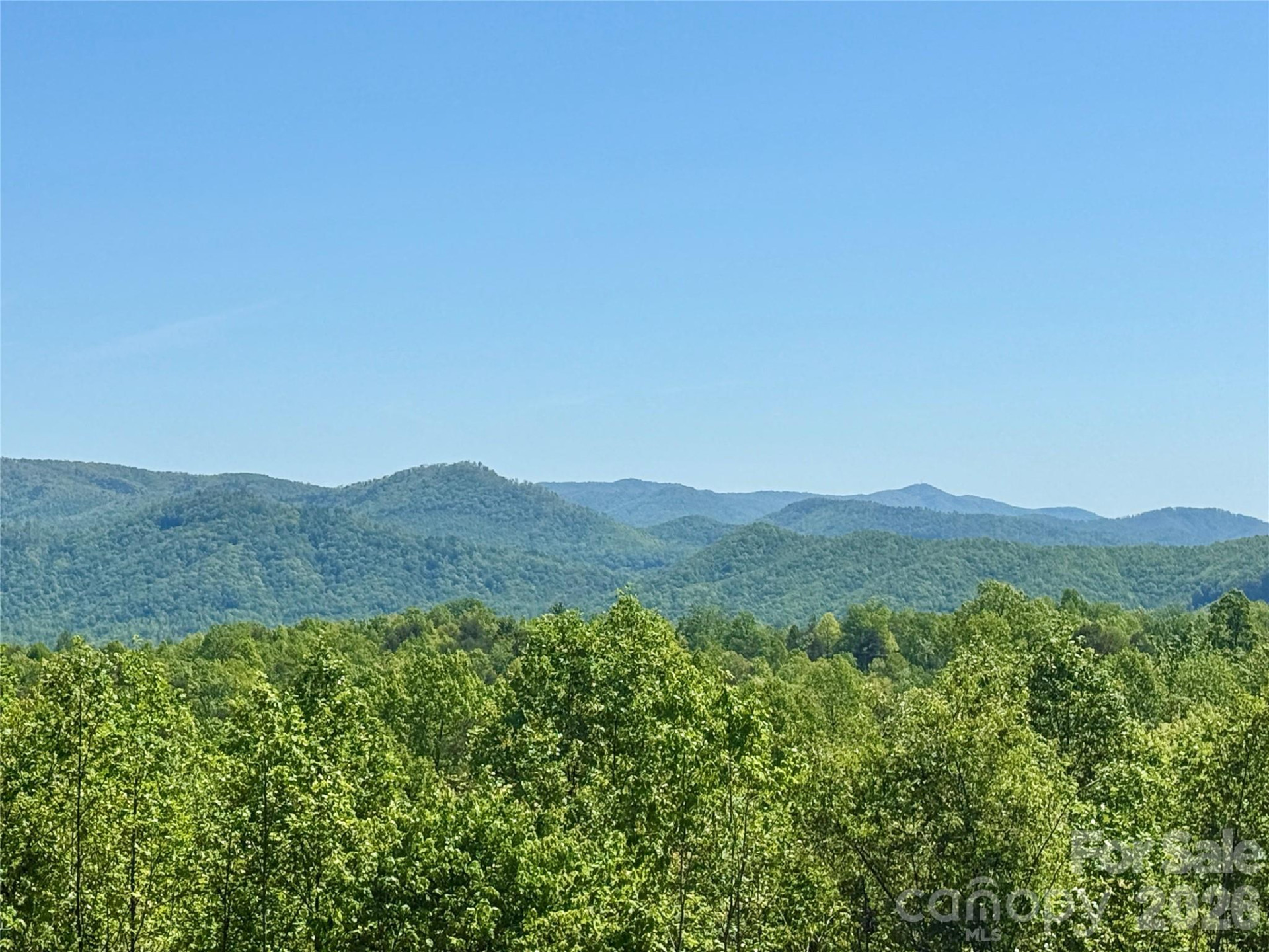 0 Doe Hallow Trail #218 - Photo 18