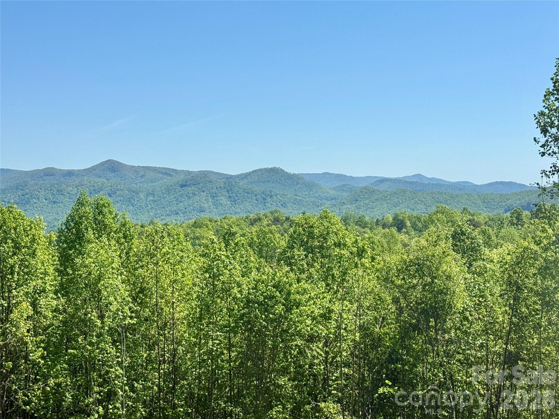 0 Doe Hallow Trail #218 - Photo 19