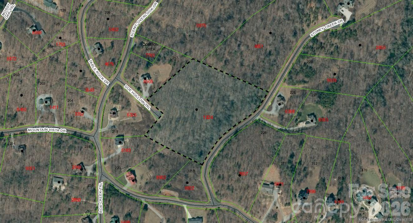 0 Doe Hallow Trail #218 - Photo 20