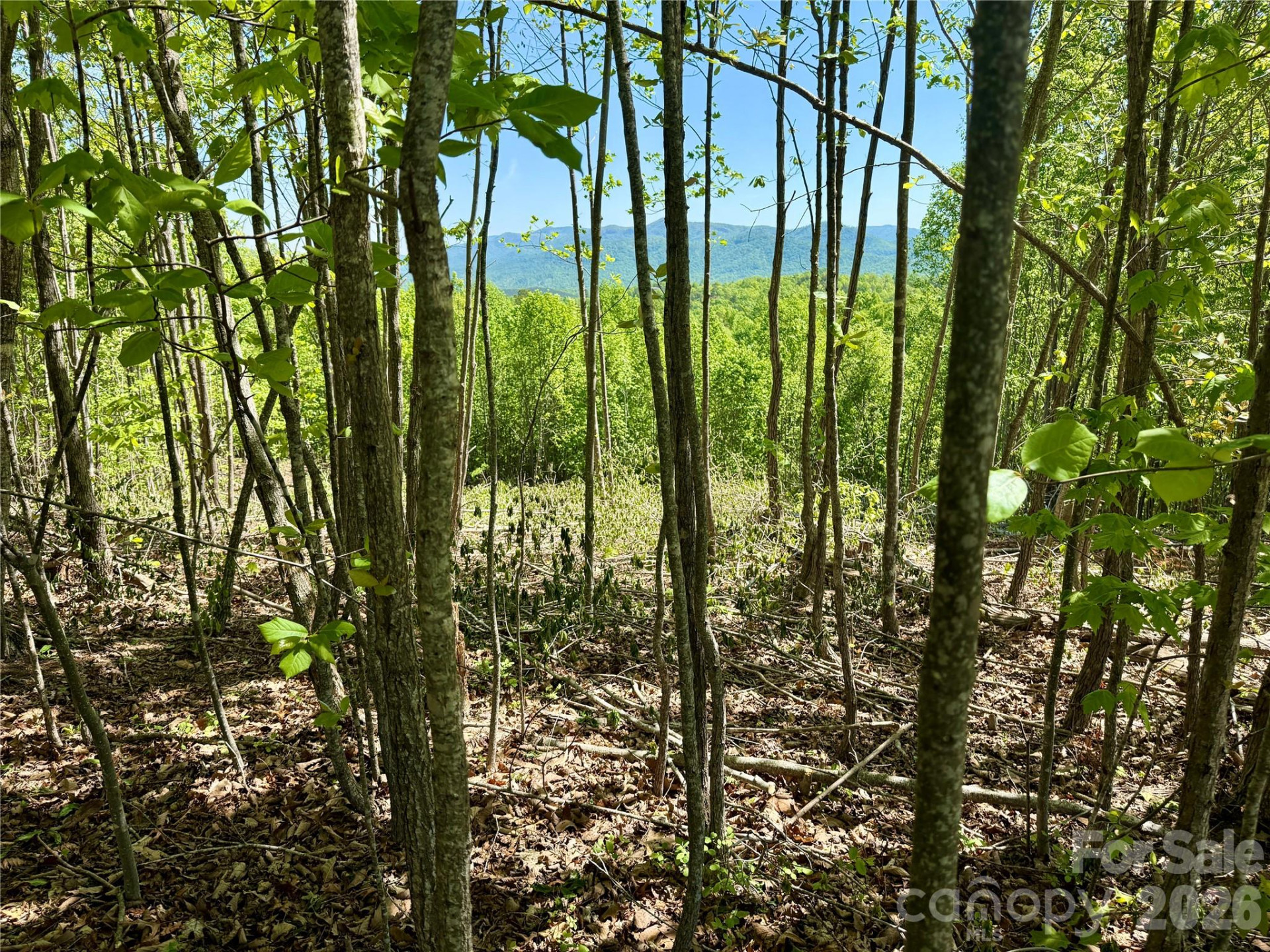 0 Doe Hallow Trail #218 - Photo 7