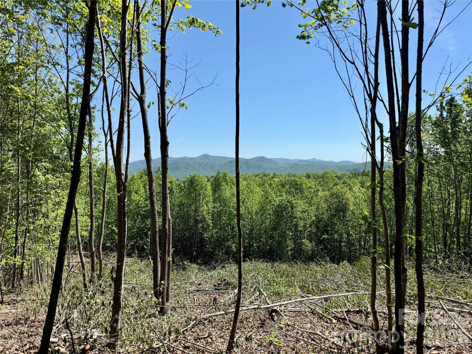 0 Doe Hallow Trail #218 - Photo 8