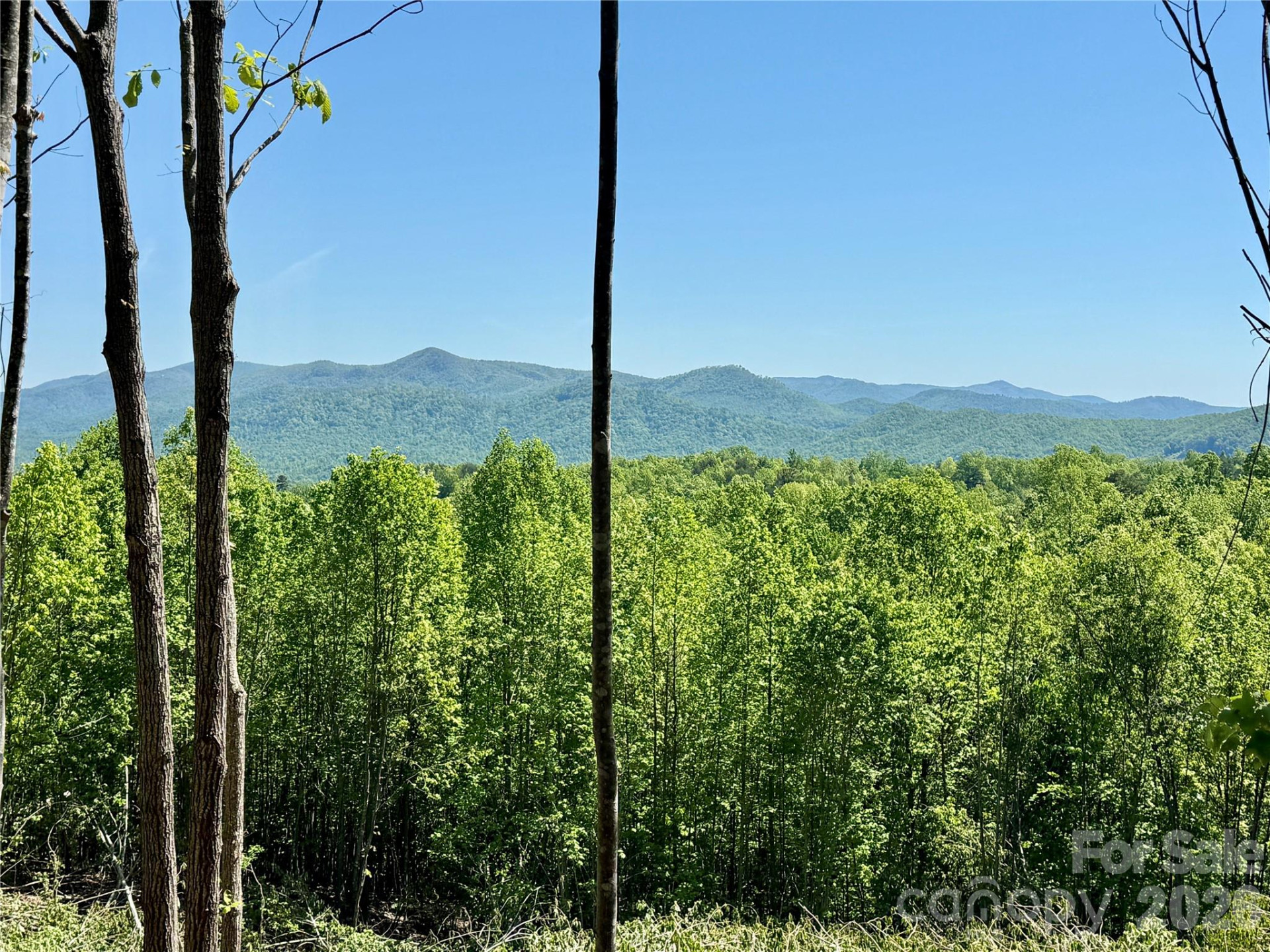 0 Doe Hallow Trail #218 - Photo 9