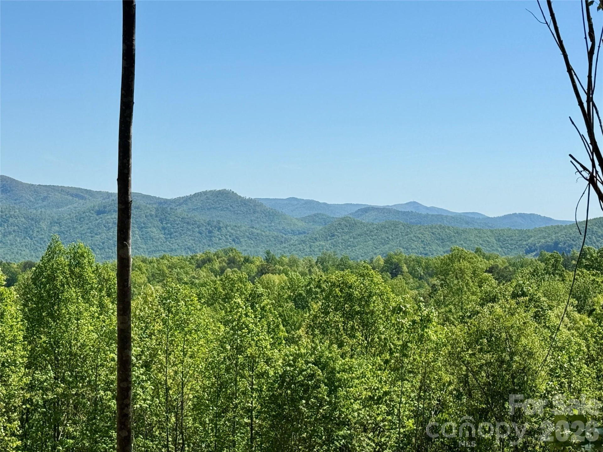 0 Doe Hallow Trail #218 - Photo 10