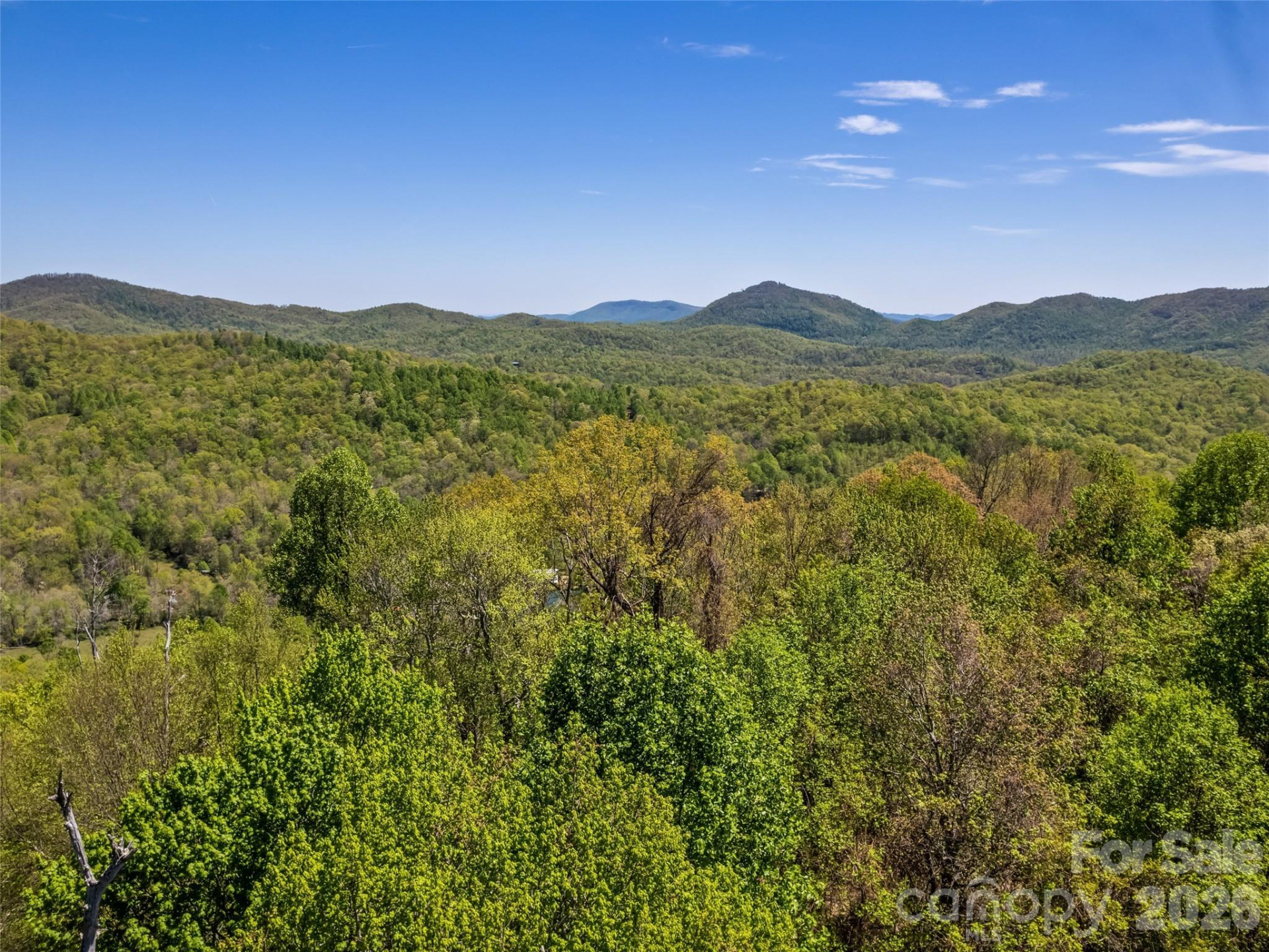 1372 Sand Branch Road - Photo 21