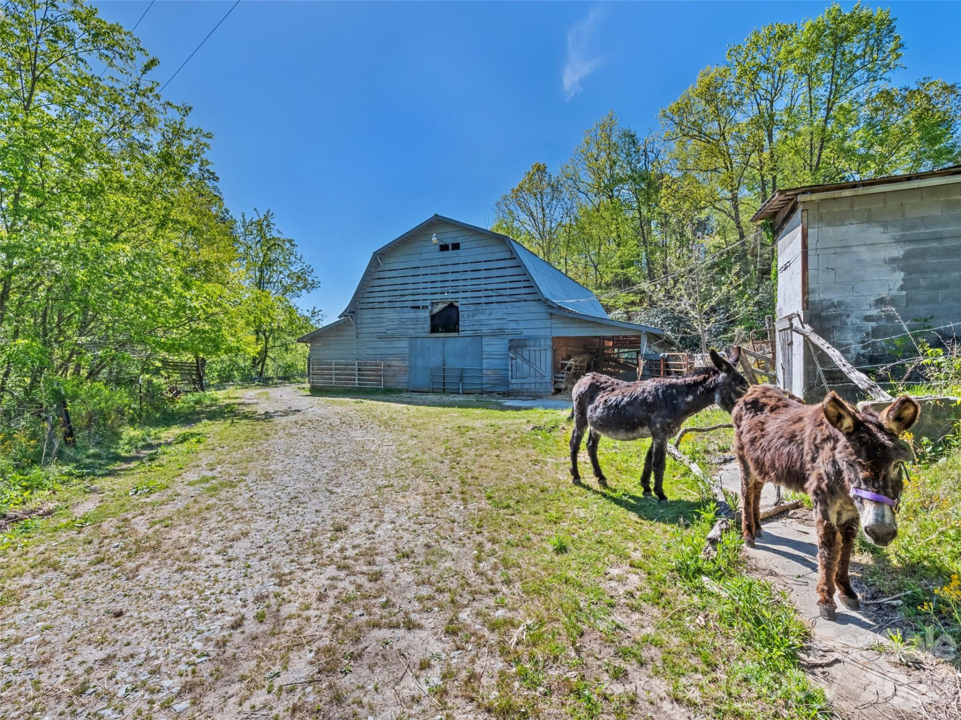 1372 Sand Branch Road - Photo 22