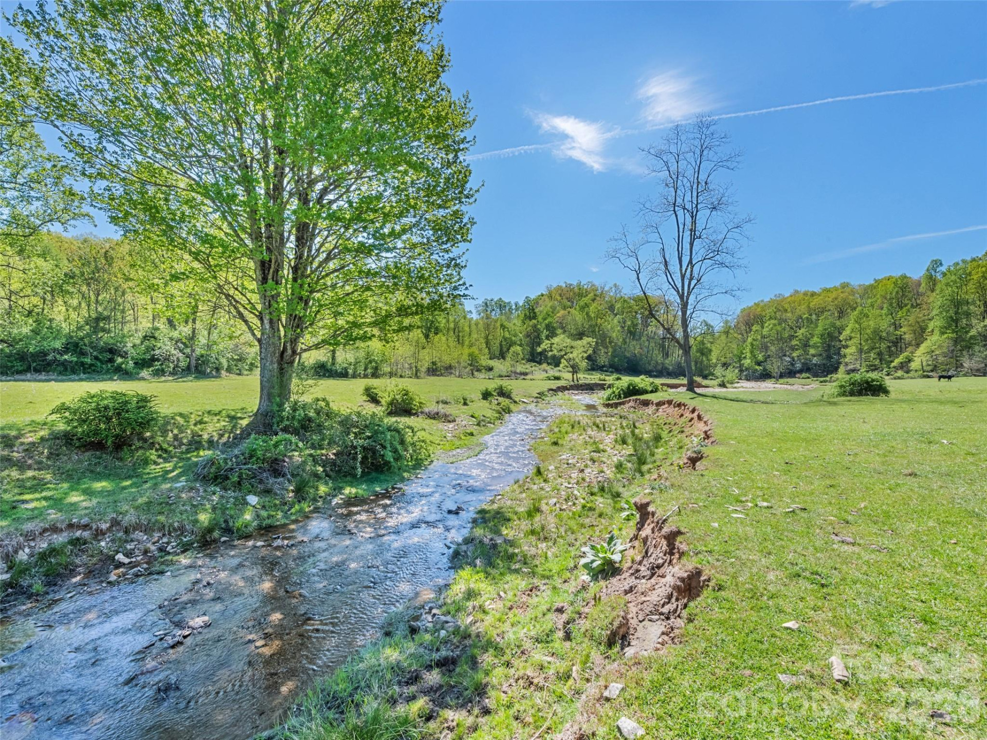 1372 Sand Branch Road - Photo 30