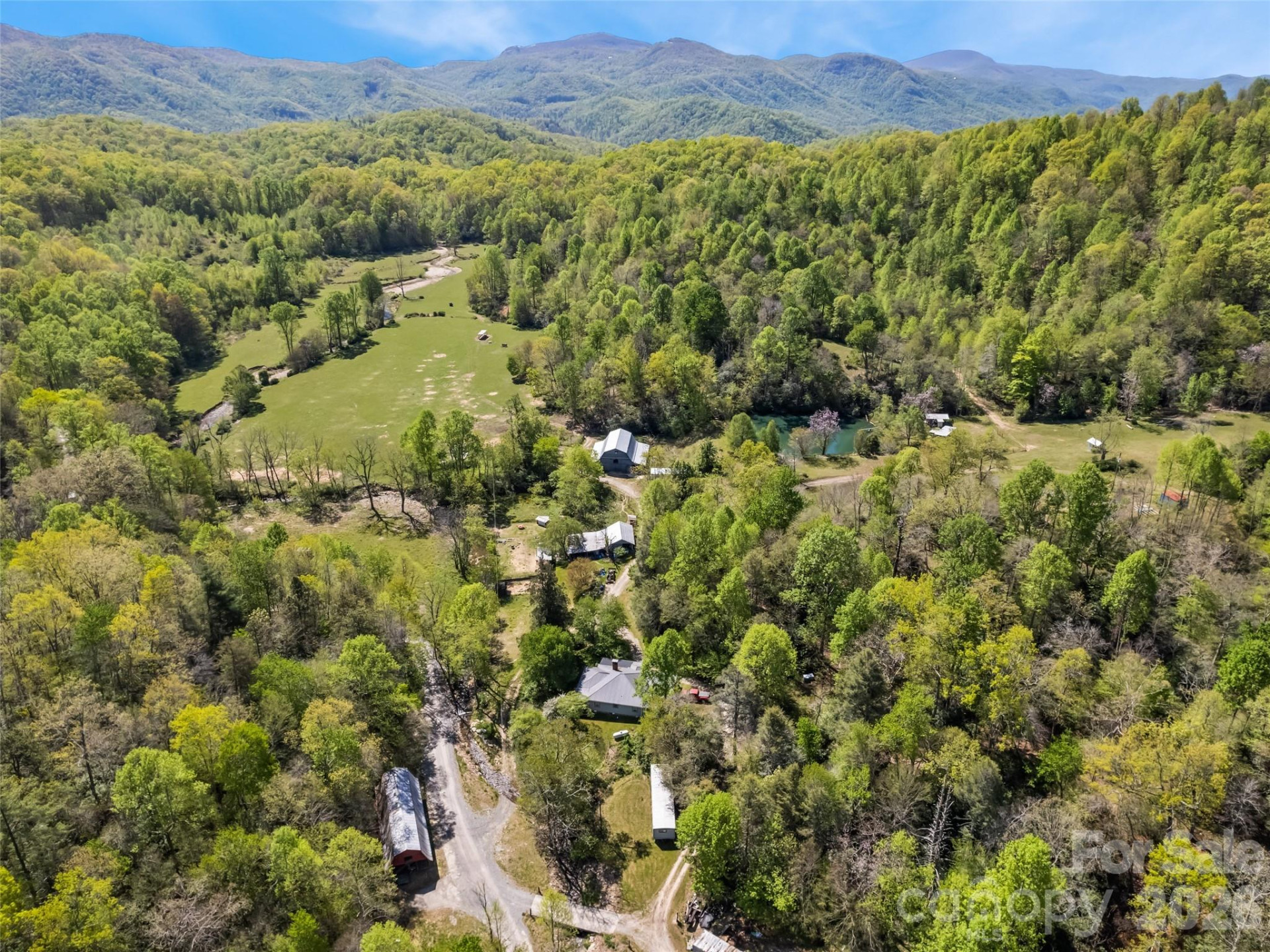 1372 Sand Branch Road - Photo 4