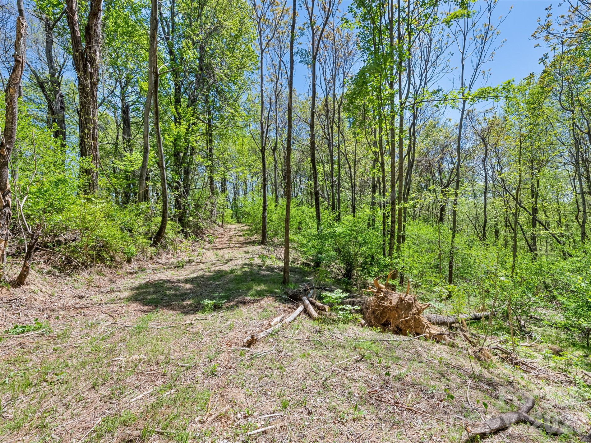 1372 Sand Branch Road - Photo 40