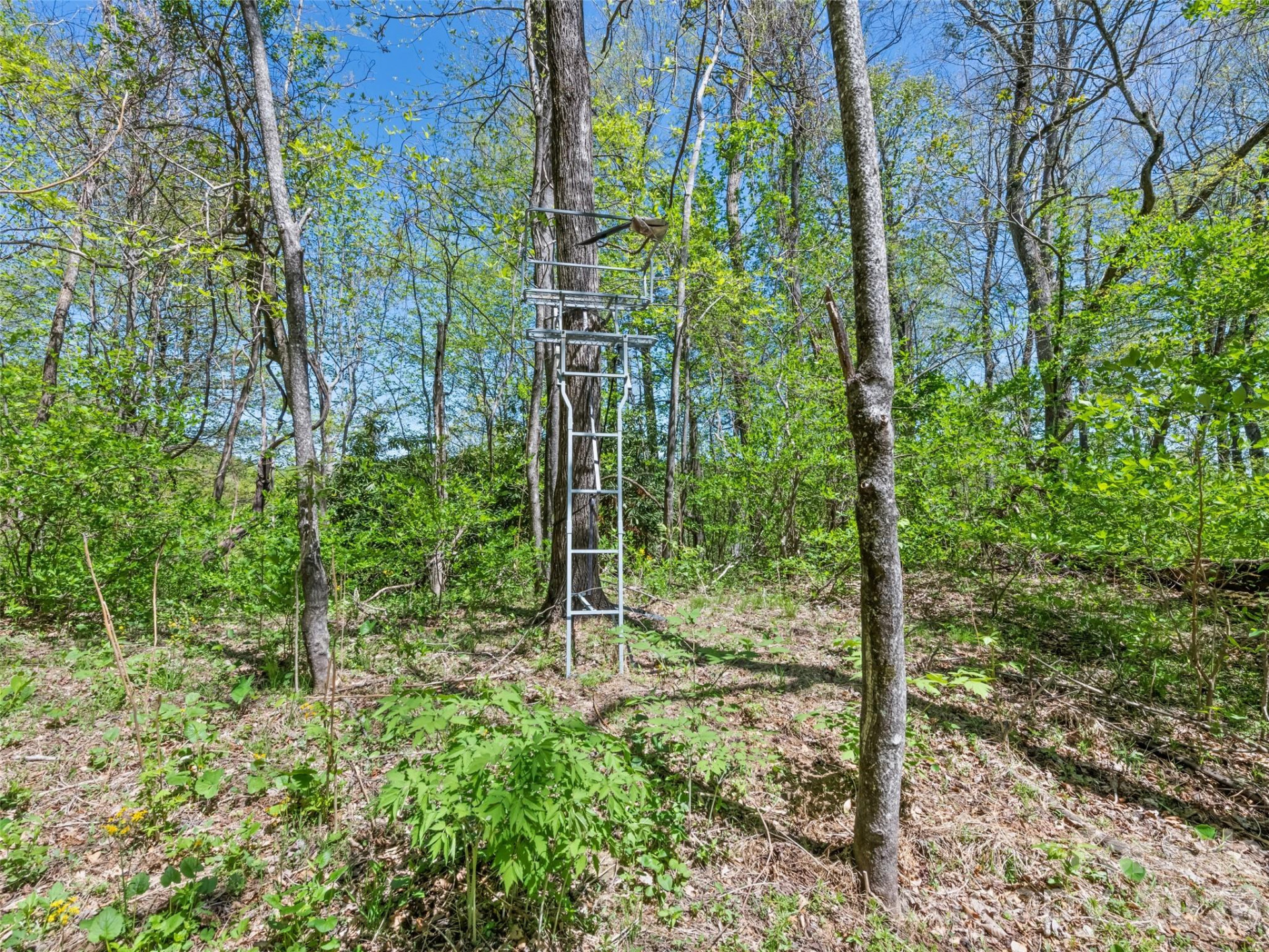 1372 Sand Branch Road - Photo 41