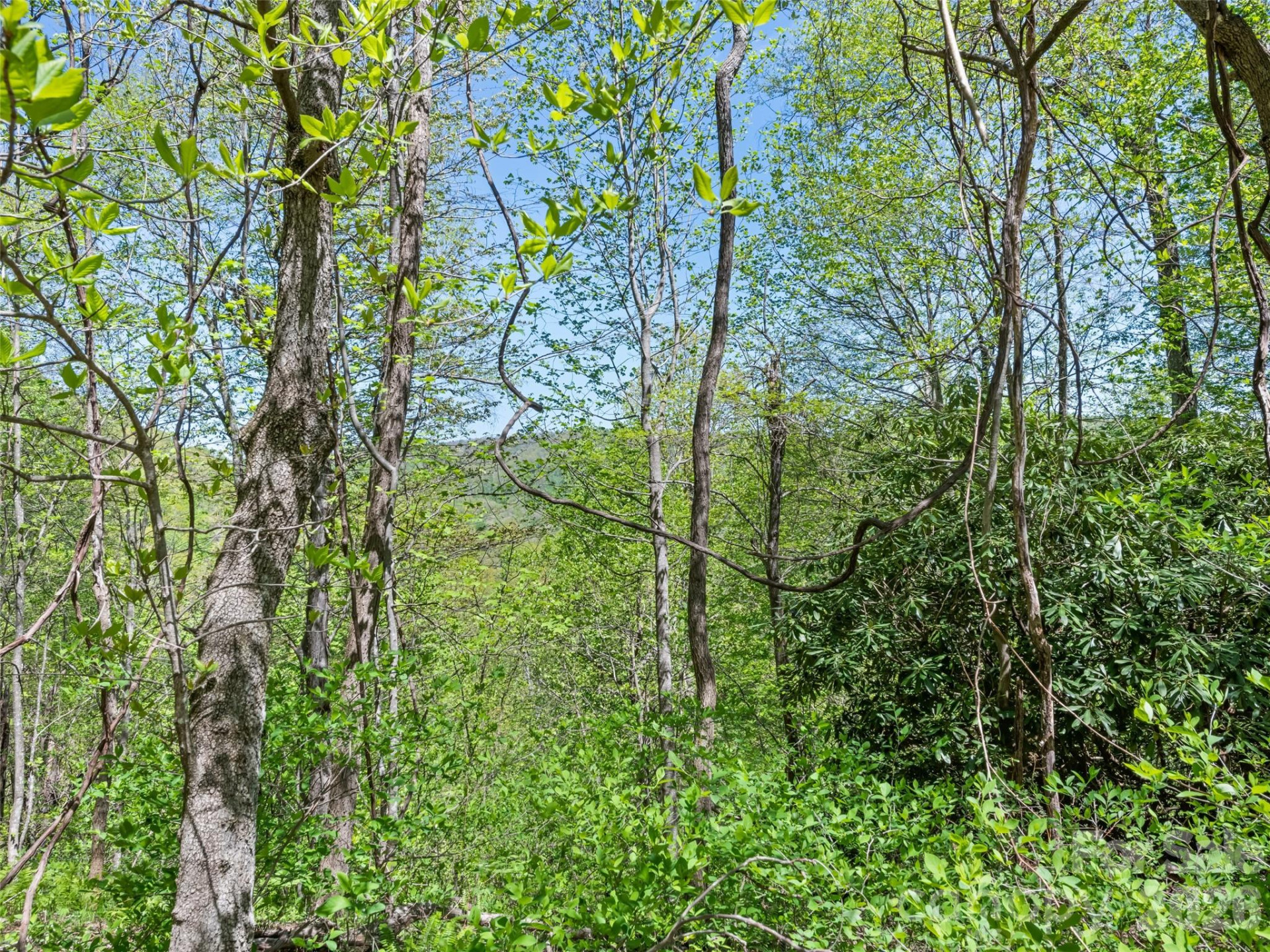 1372 Sand Branch Road - Photo 42