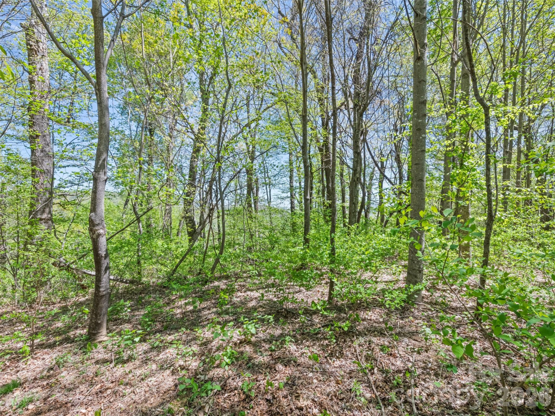 1372 Sand Branch Road - Photo 43