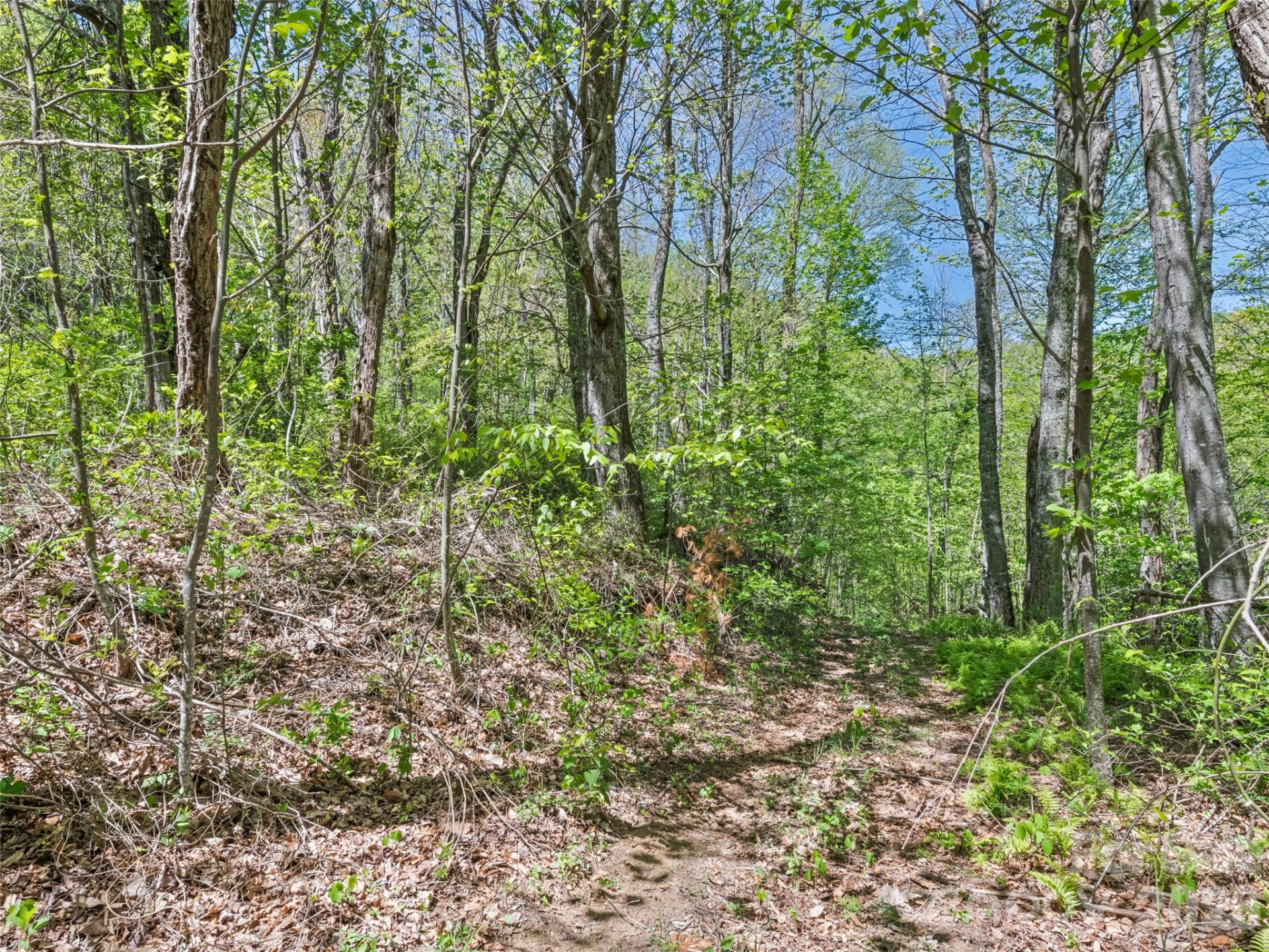 1372 Sand Branch Road - Photo 44