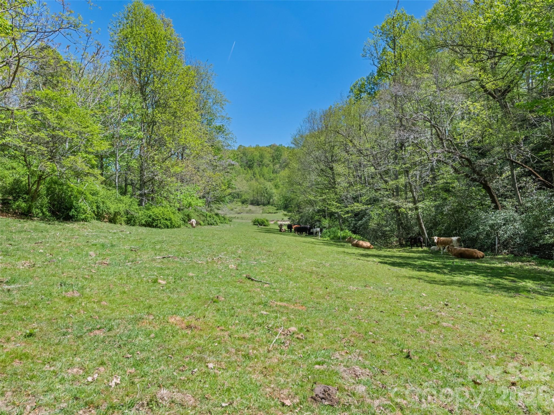1372 Sand Branch Road - Photo 45