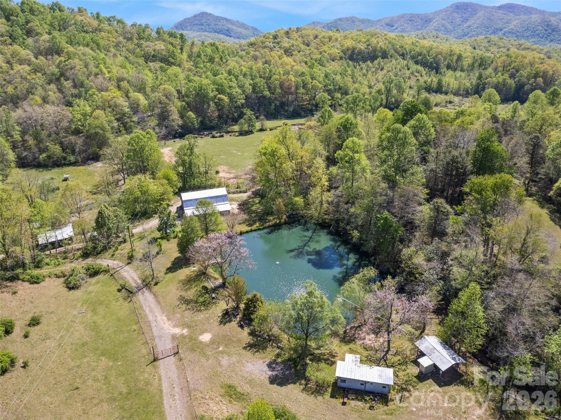 1372 Sand Branch Road - Photo 6